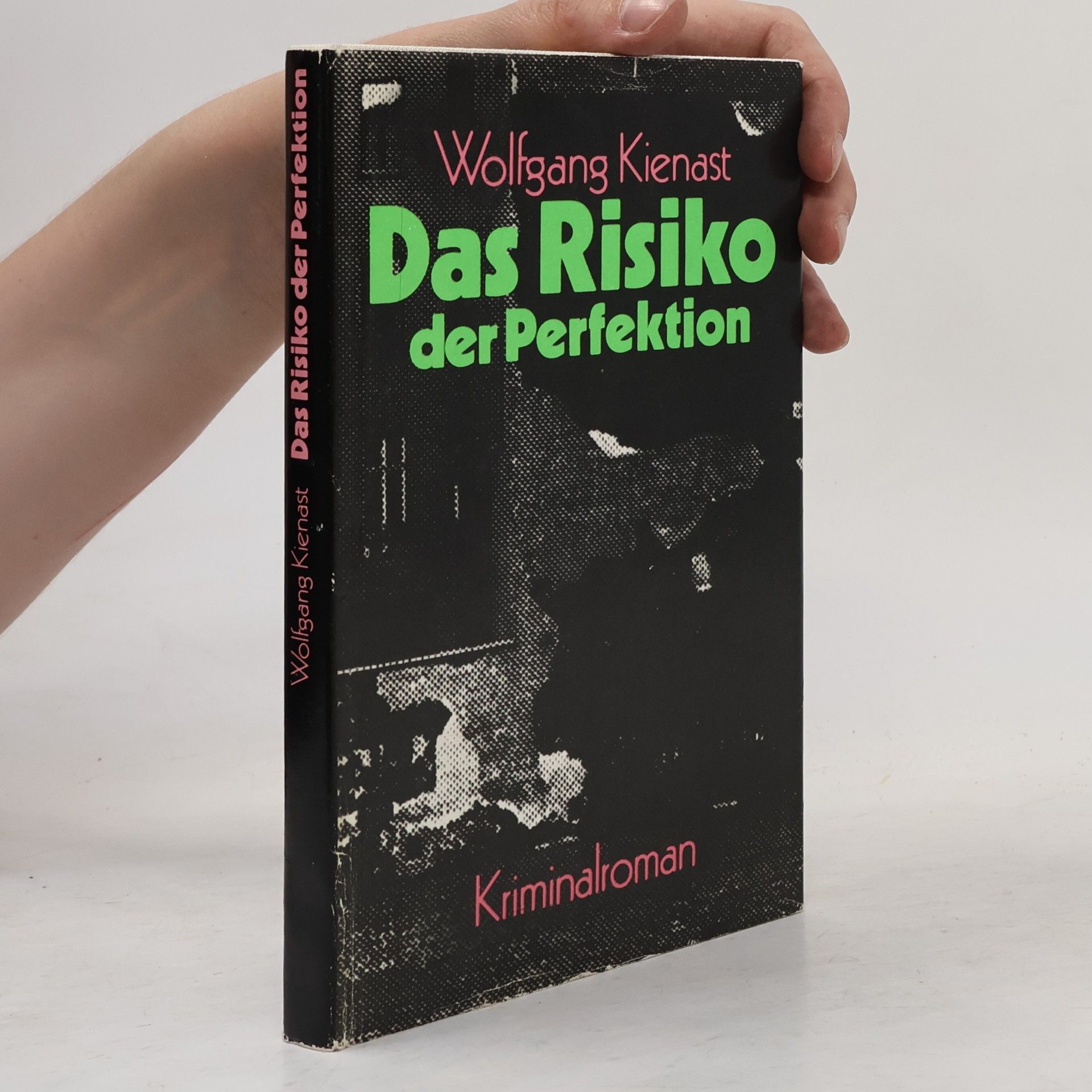 Wolfgang Kienast Das Risiko der Perfektion