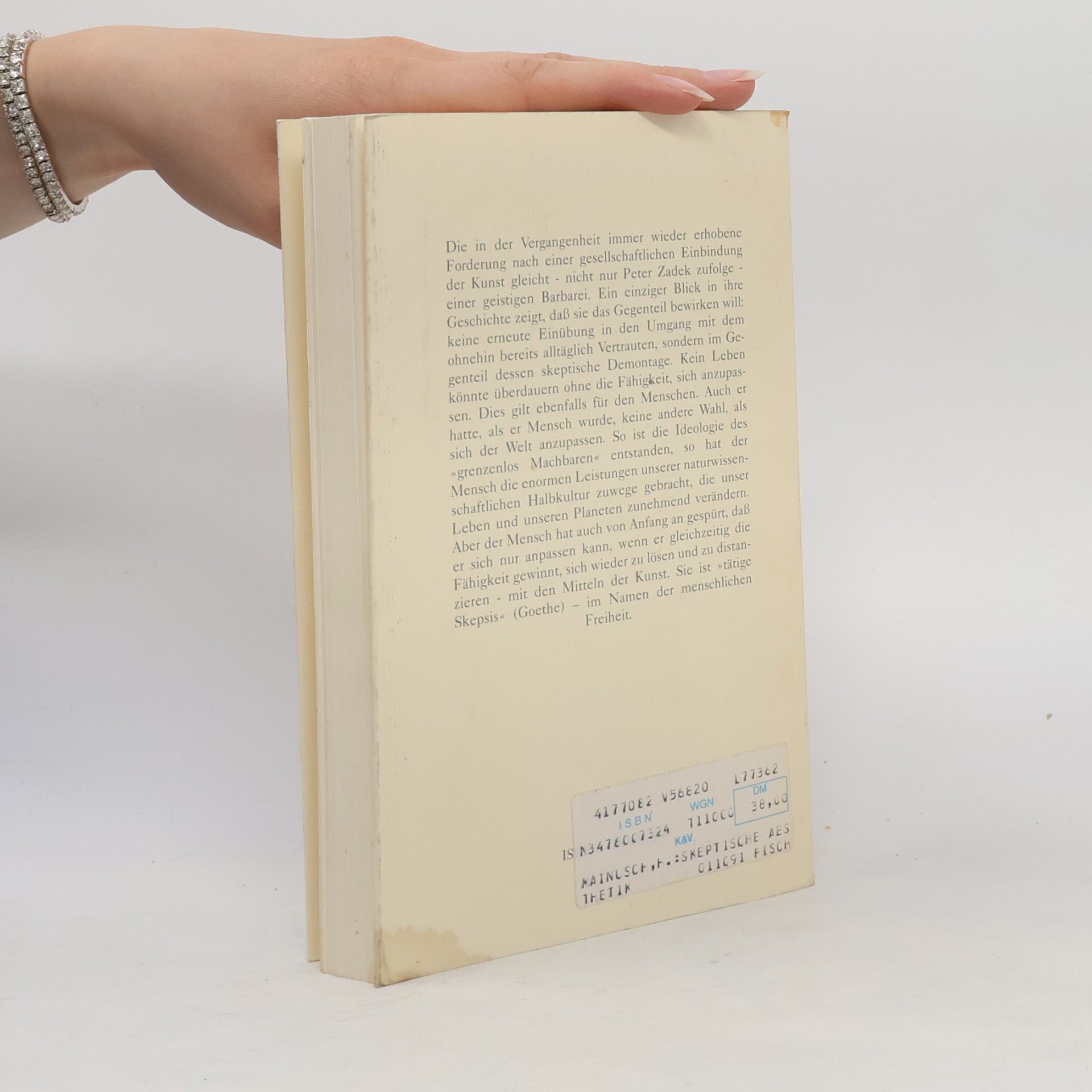 Herbert Mainusch Bibliothek Metzler: Skeptische Ästhetik