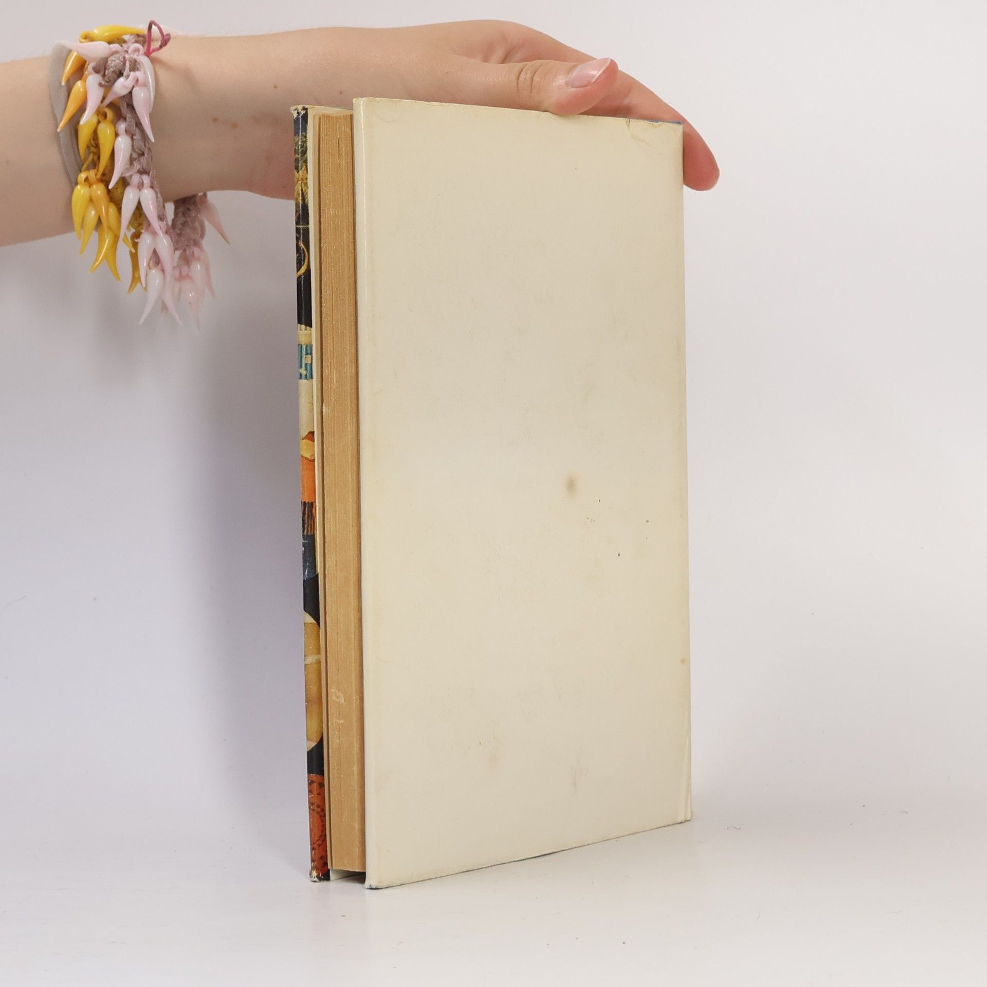 Autorenkollektiv Das kleine Haushaltbuch