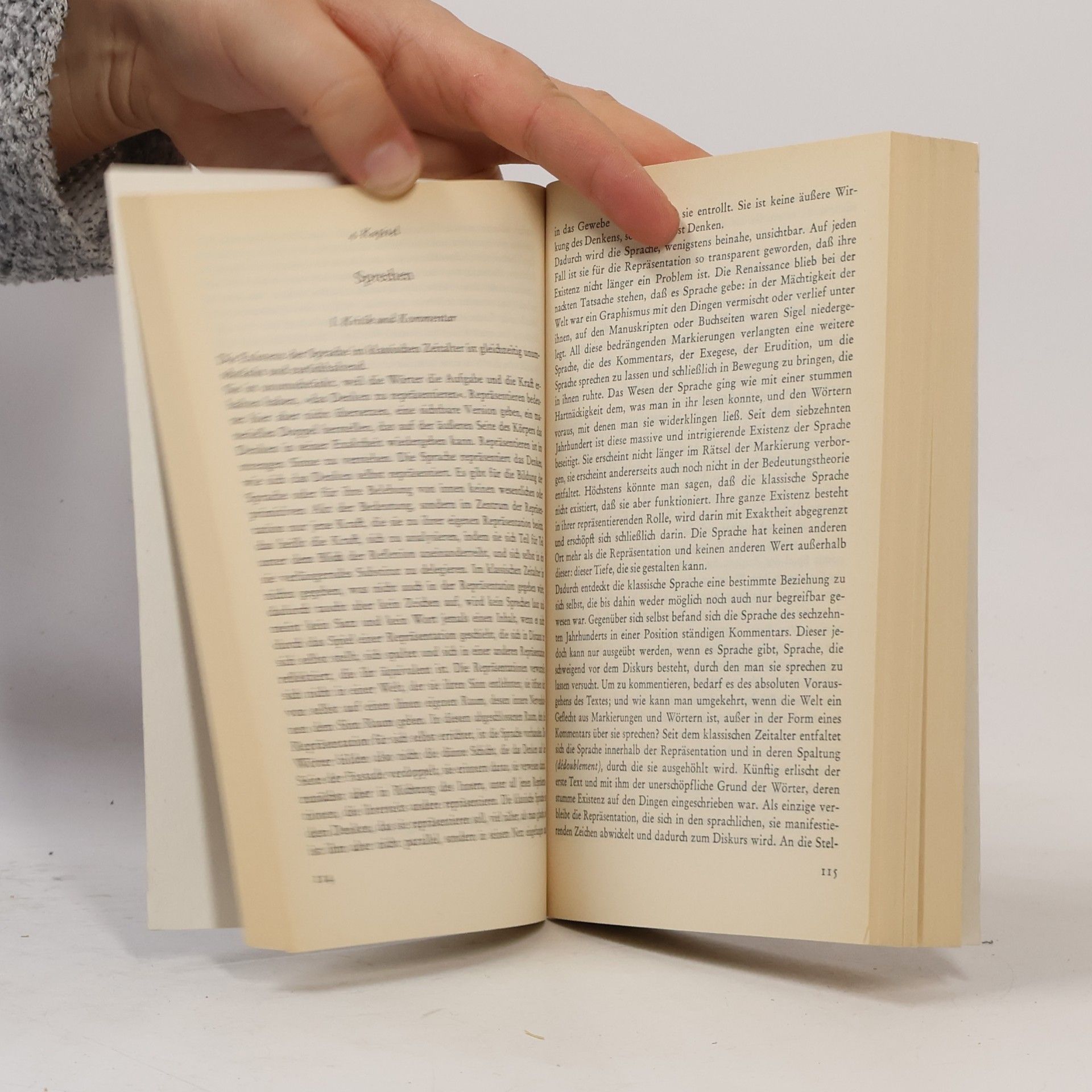 Michel Foucault Die Ordnung der Dinge