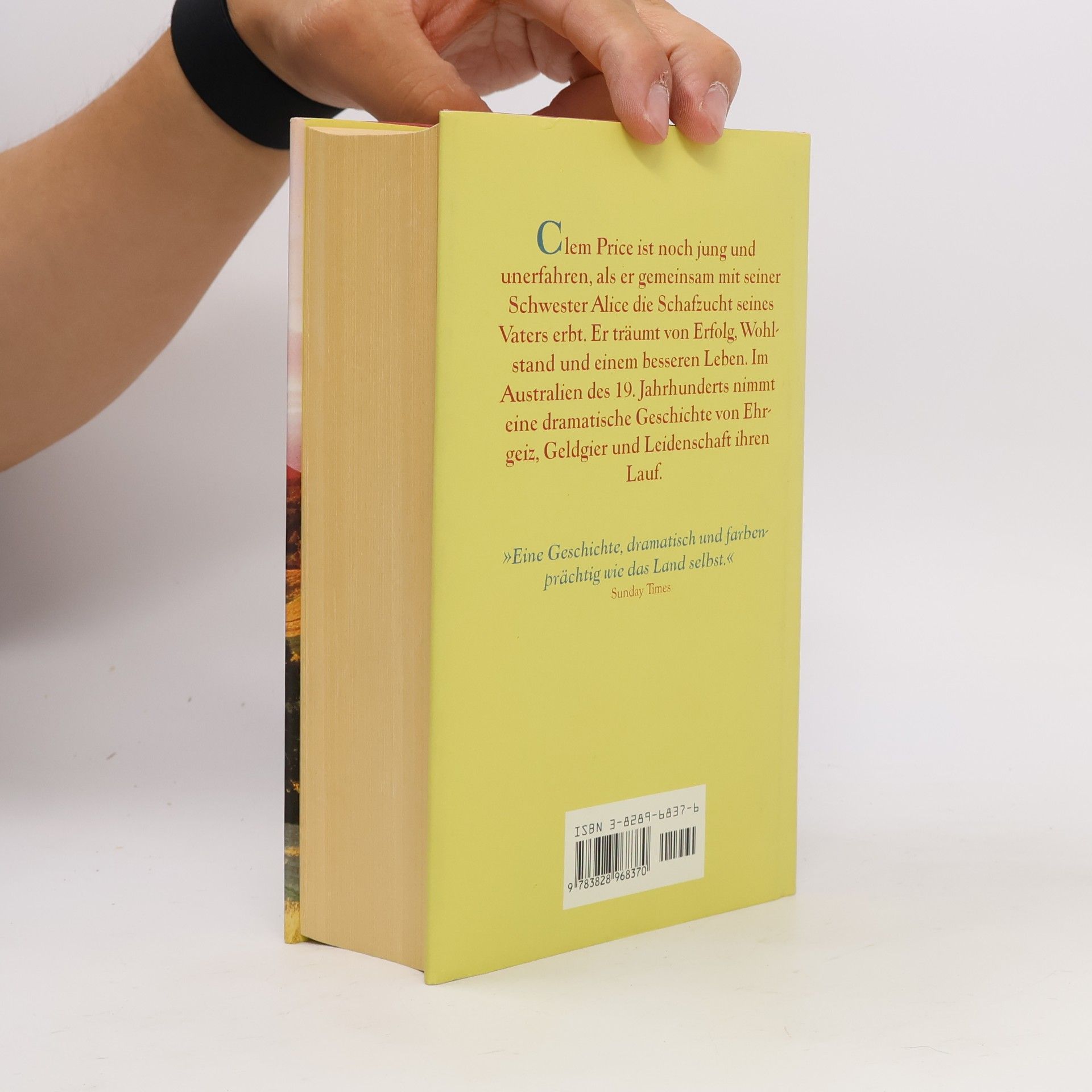 Patricia Shaw Leuchtendes Land
