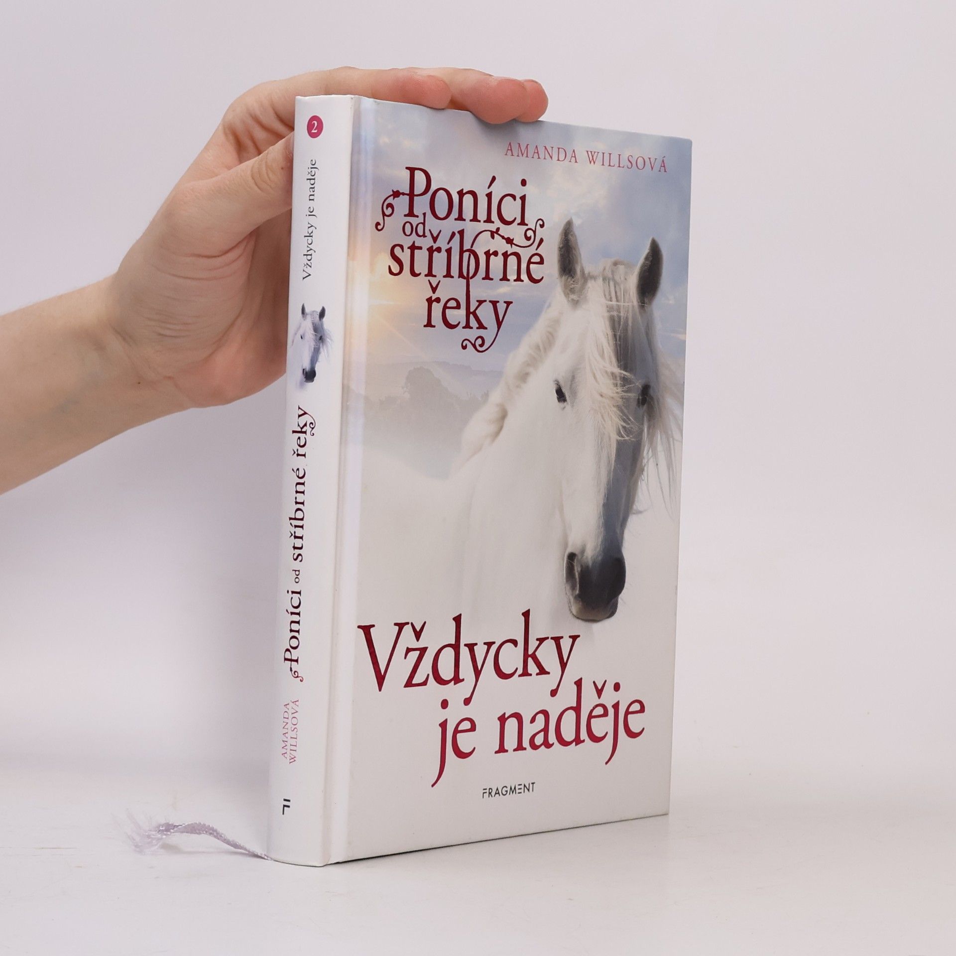 Amanda Wills Vždycky je naděje