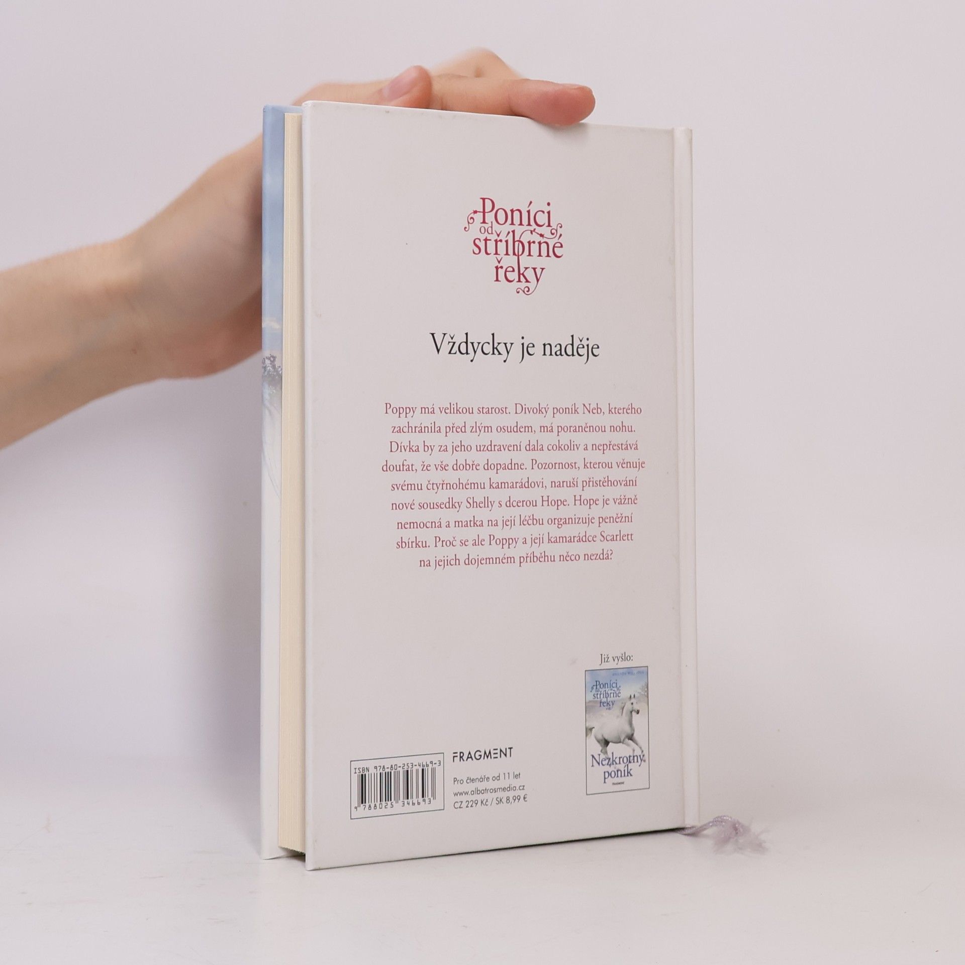 Amanda Wills Vždycky je naděje