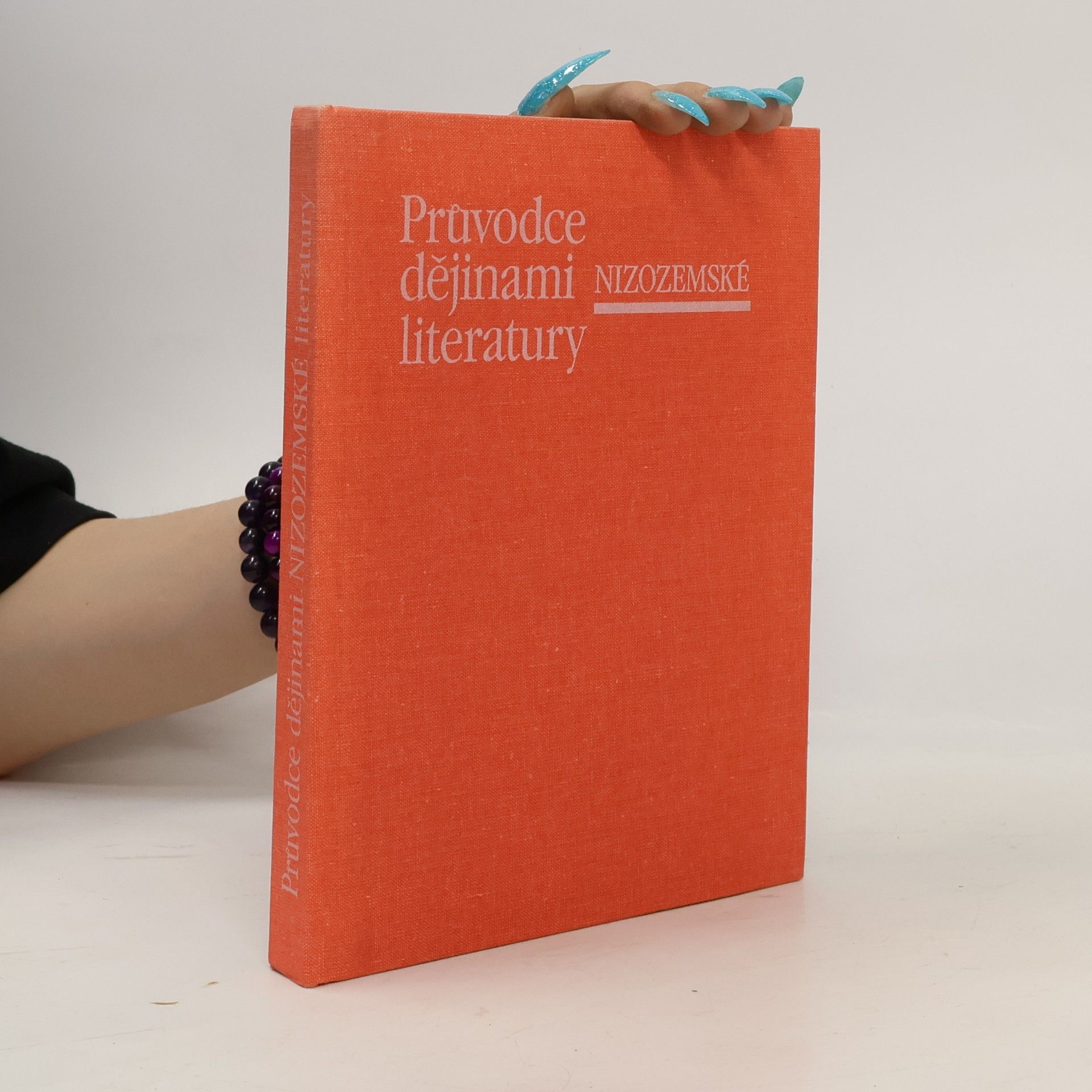 Průvodce dějinami nizozemské literatury