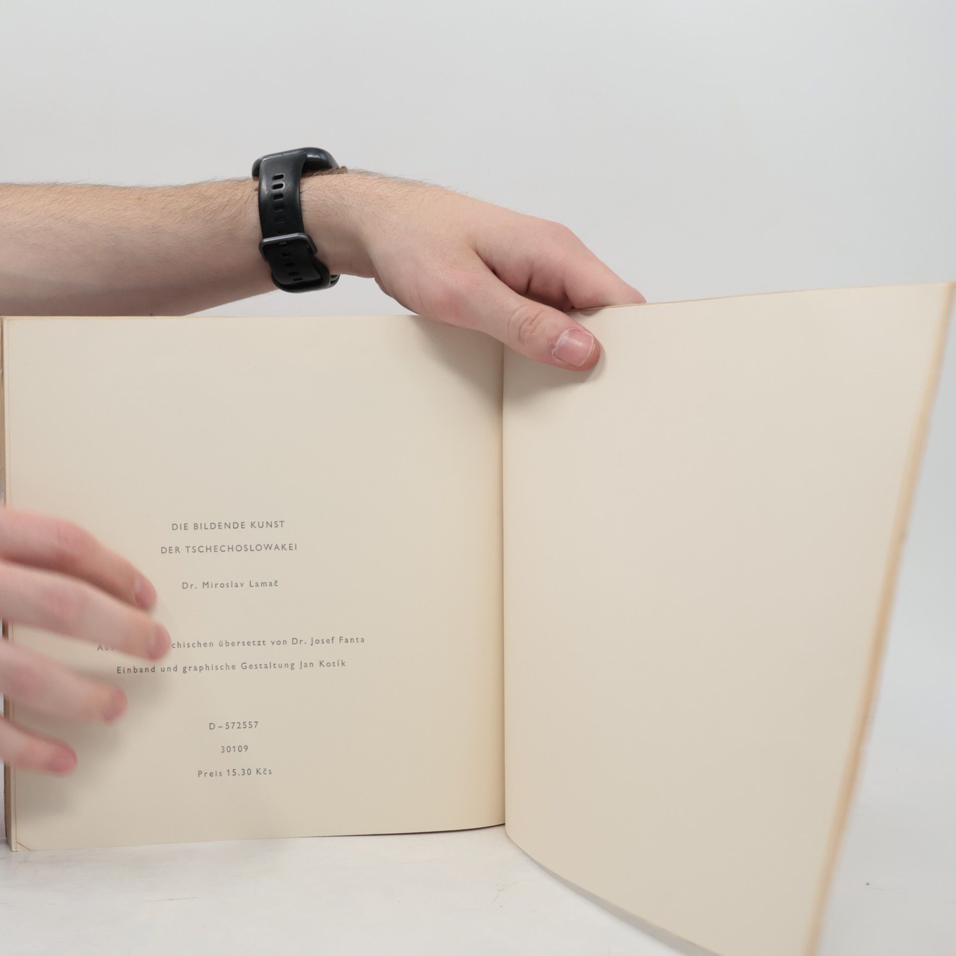 Miroslav Lamač Die bildende Kunst der Tschechoslowakei