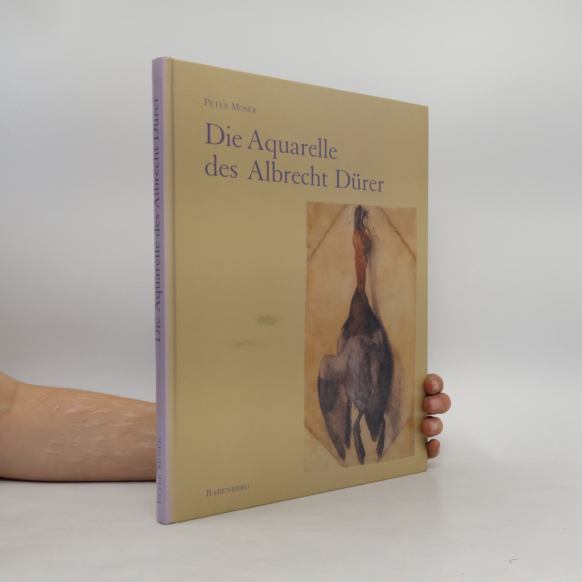 Albrecht Dürer Die Aquarelle des Albrecht Dürer