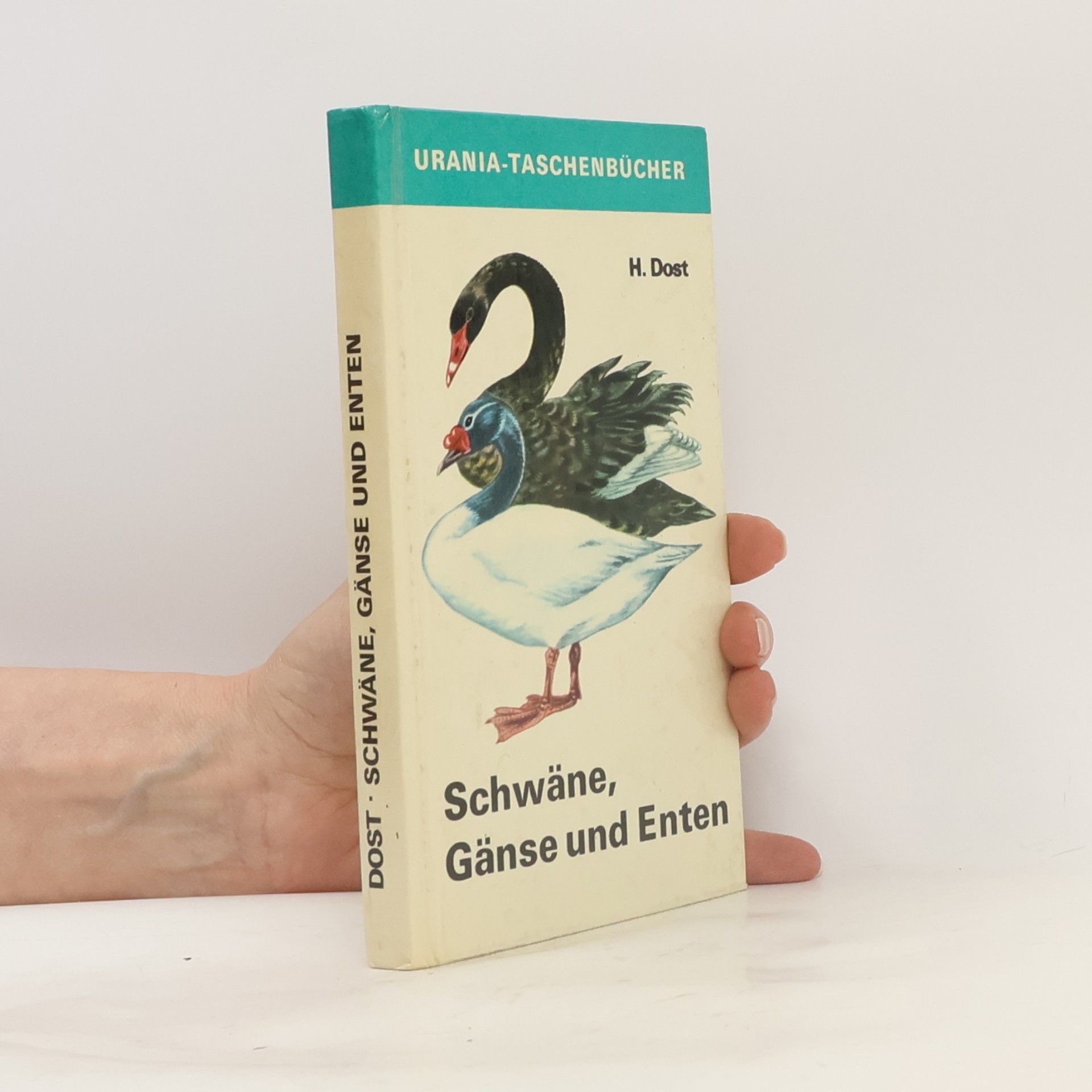 H. Dost Schwäne, Gänse und Enten