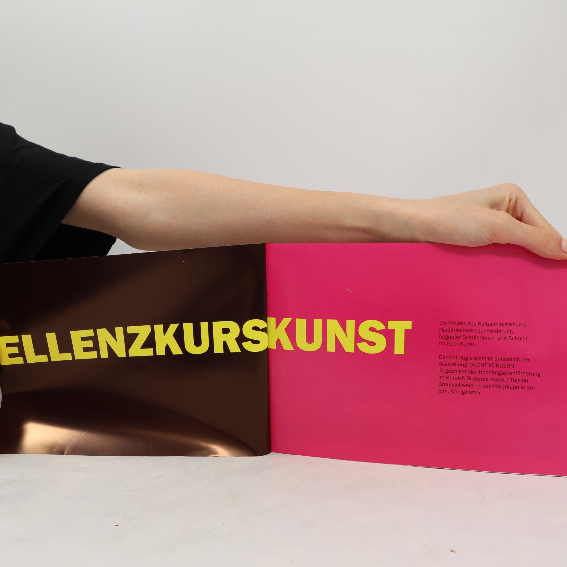 Autorenkollektiv Exzellenzkurskunst
