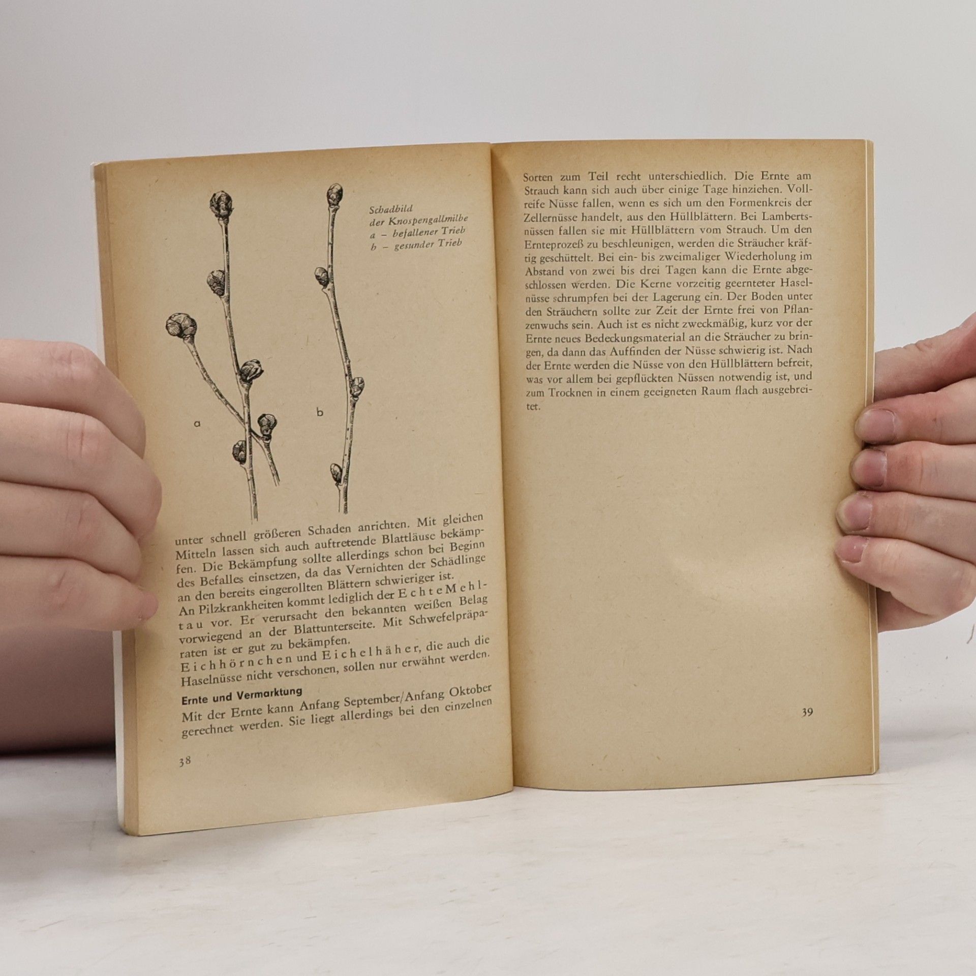 Siegfried Stritzke Bücher für den Gartenfreund. Seltene Obstarten im Garten