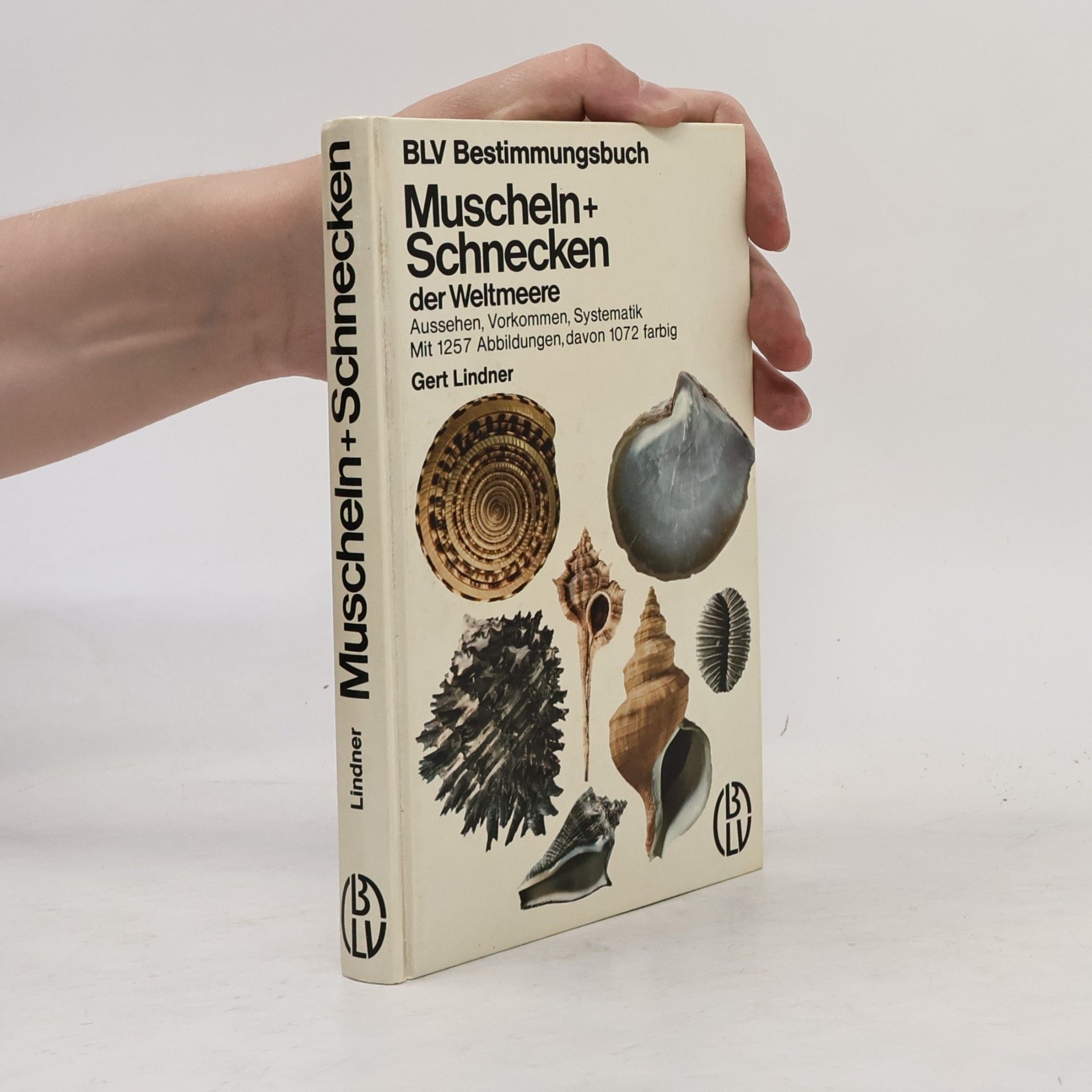 Gert Lindner Muscheln + [und] Schnecken der Weltmeere