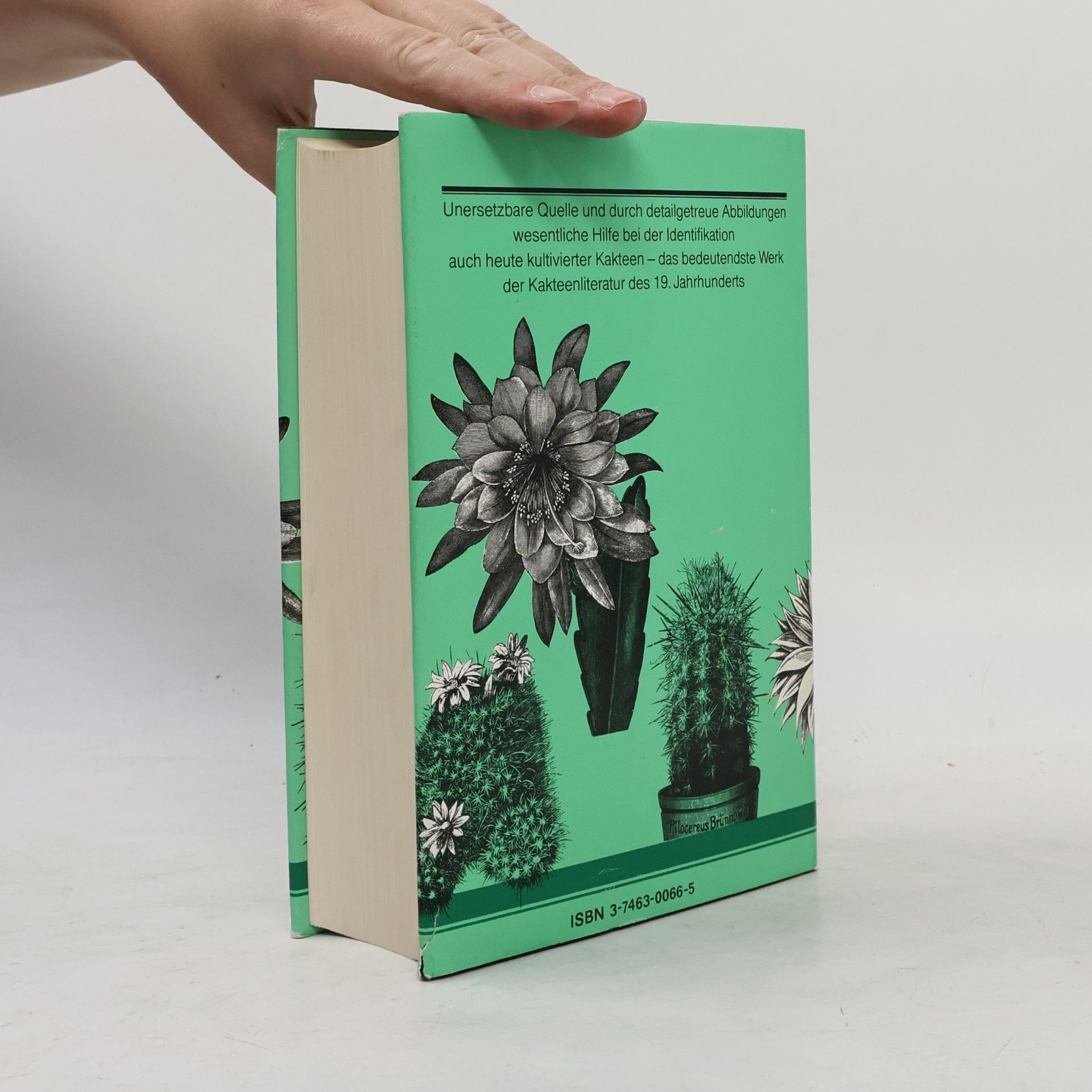Carl Friedrich Förster Handbuch der Kakteenkunde