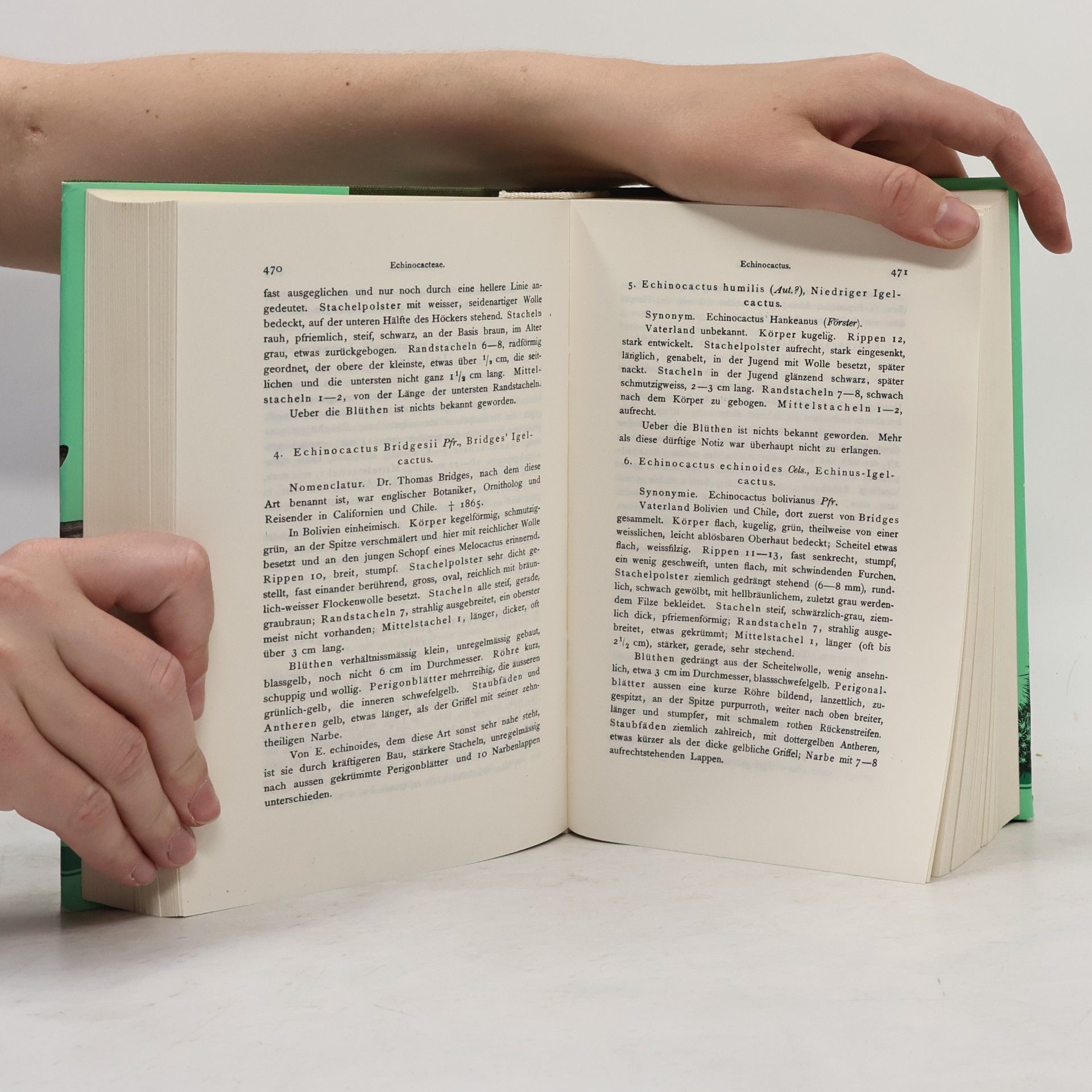 Carl Friedrich Förster Handbuch der Kakteenkunde