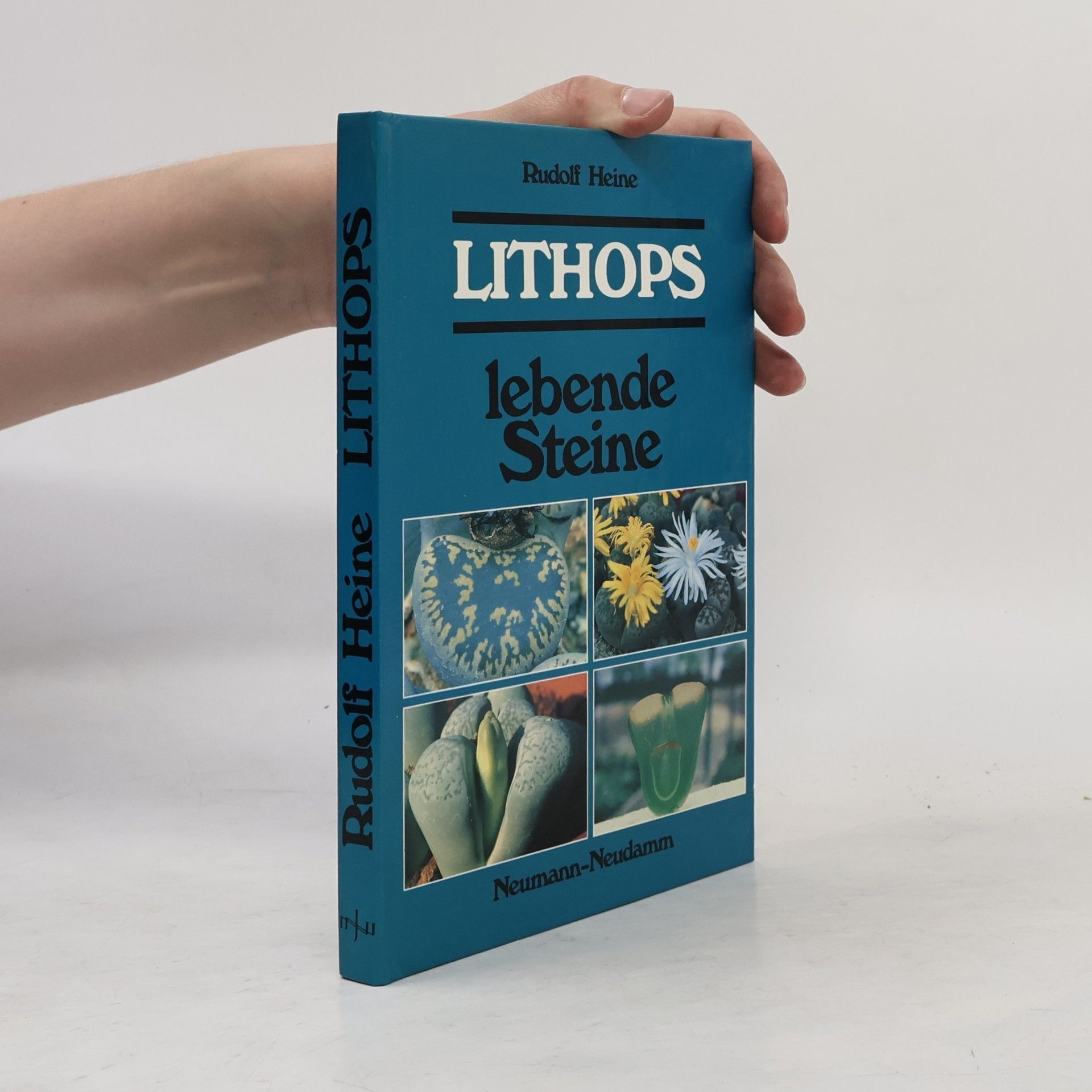 Rudolf Heine Lithops, lebende Steine