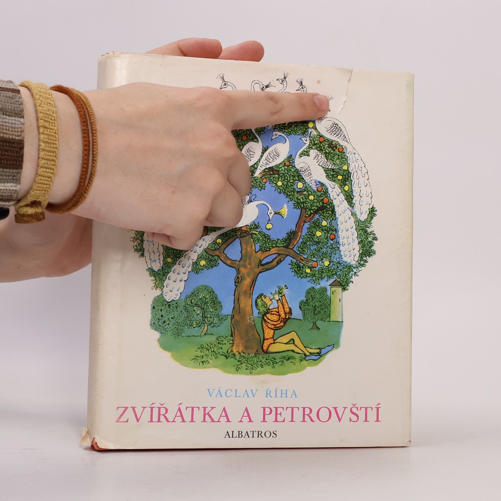 Václav Tille Z pohádky do pohádky. Zvířátka a Petrovští