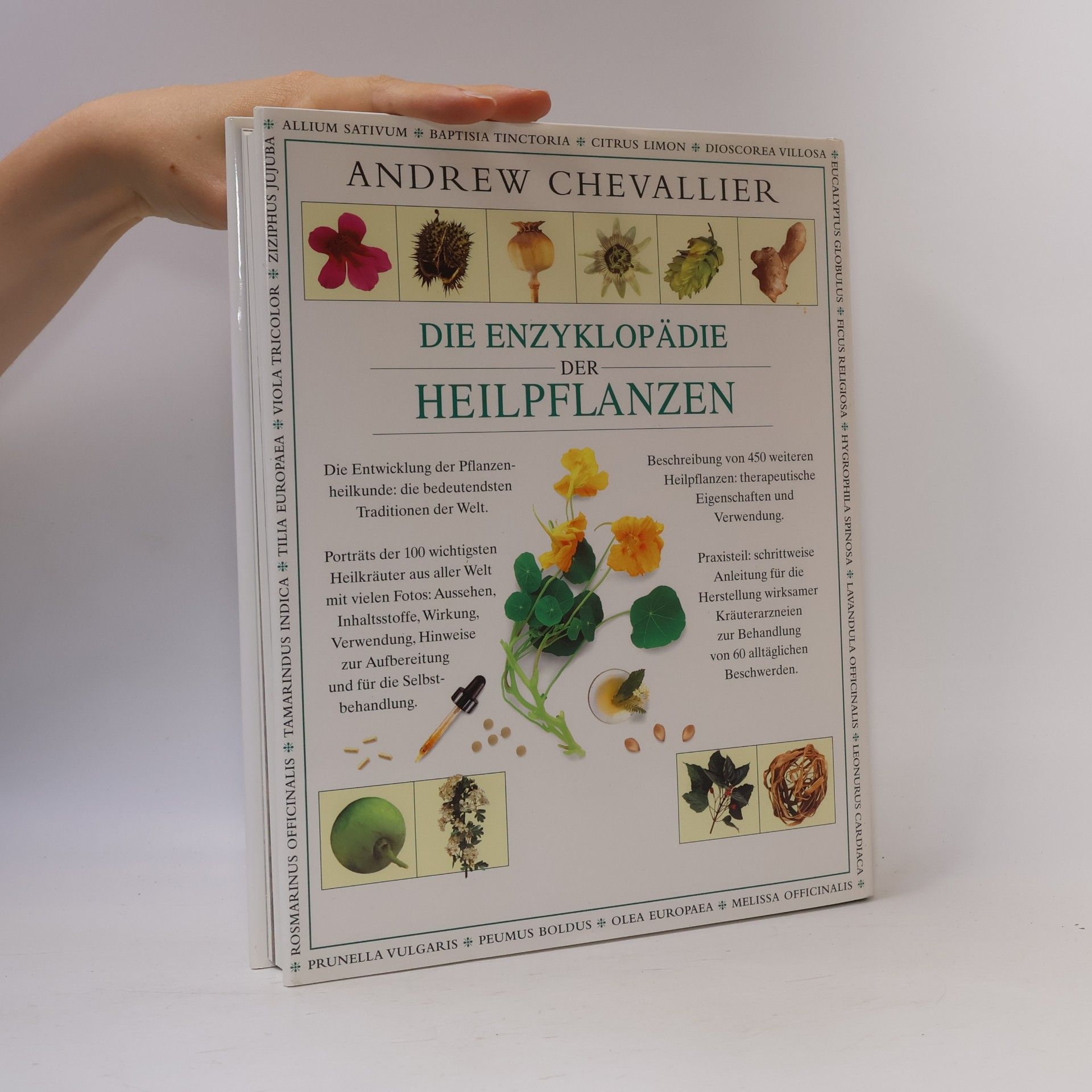 Andrew Chevallier Die Enzyklopädie der Heilpflanzen
