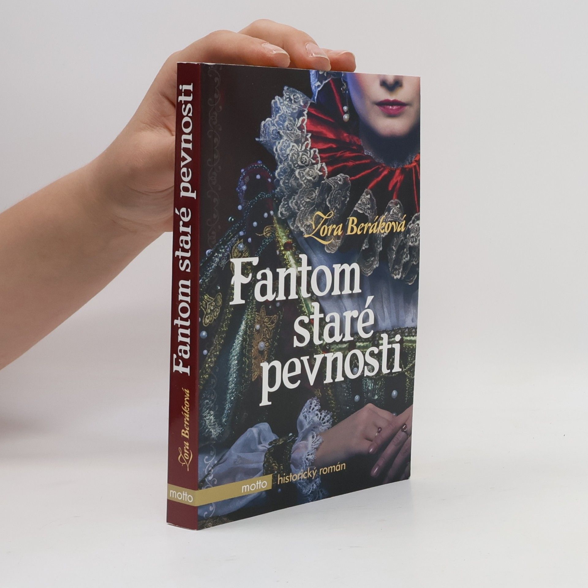 Fantom staré pevnosti : dobrodružný historický román