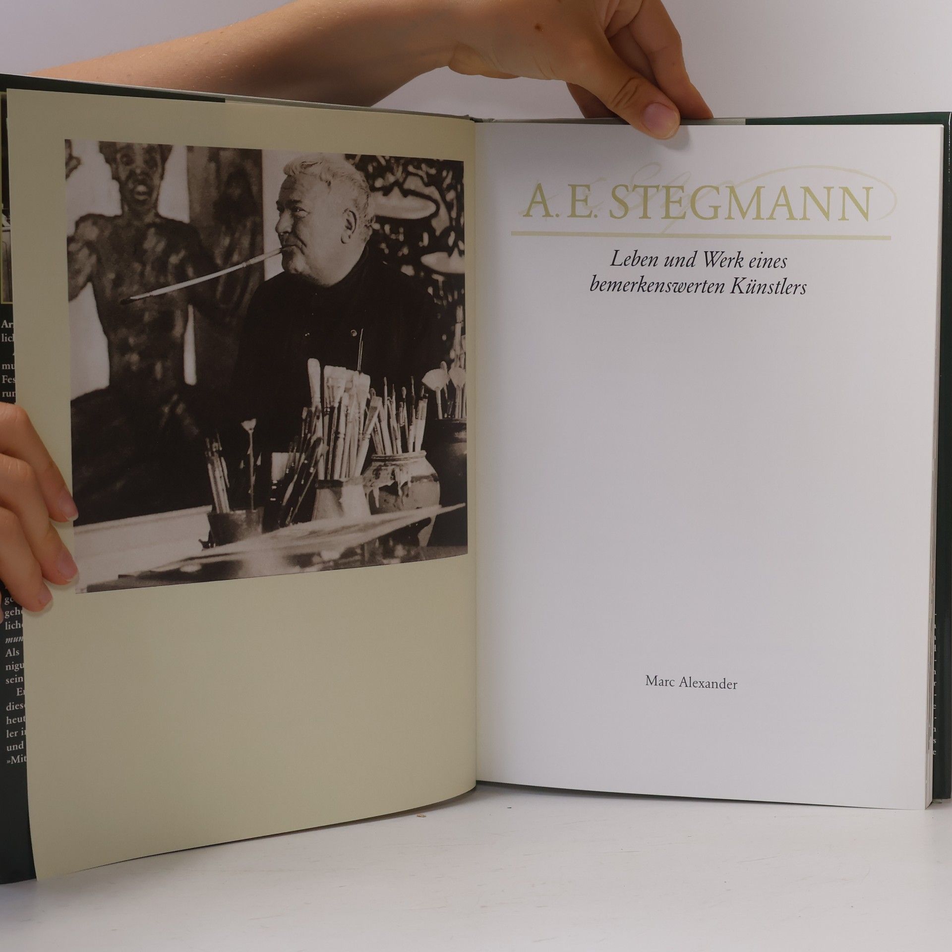 A. E. Stegmann Marc Alexander: Leben und Werk eines bemerkenswerten Künstlers