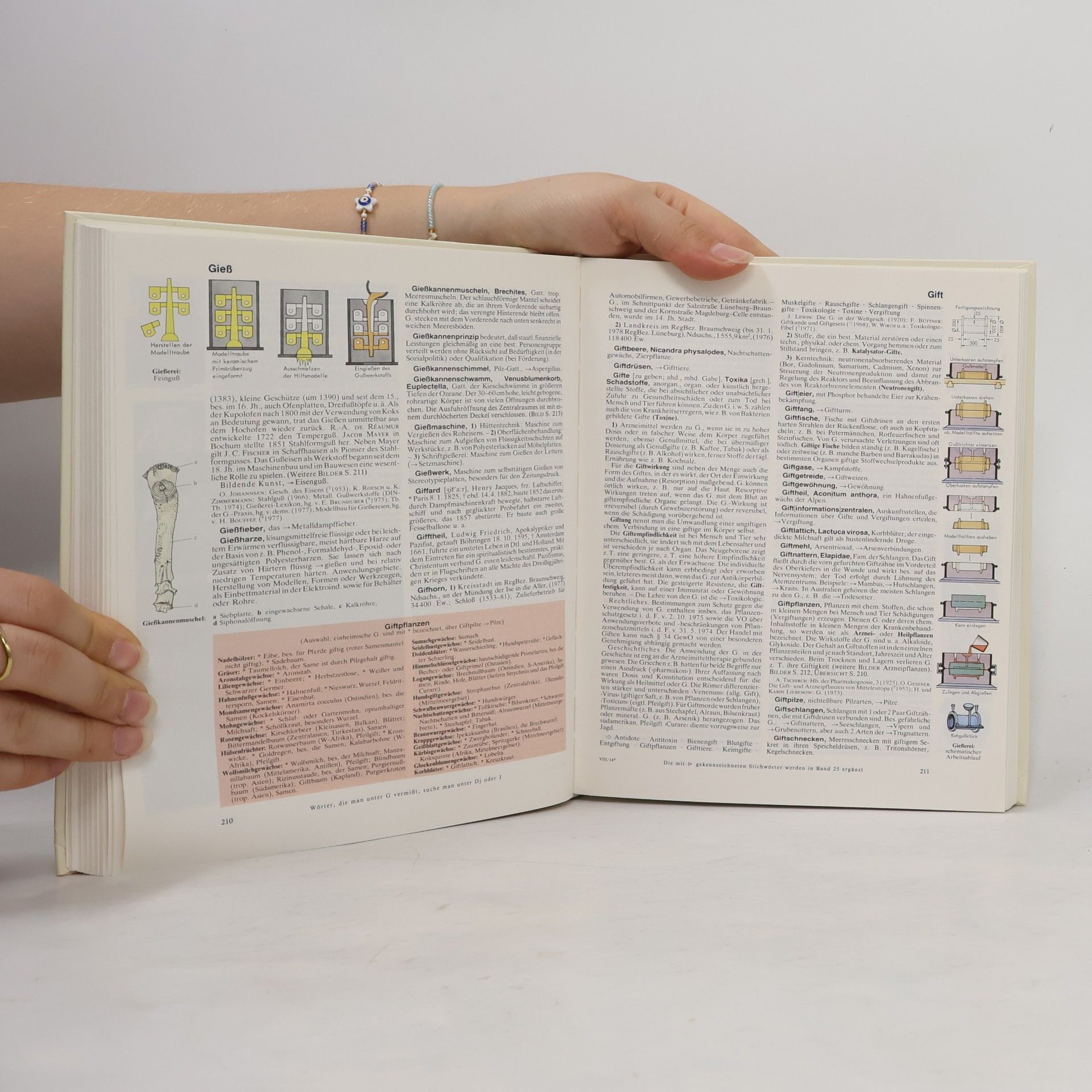 Kolektiv autorů Der Grosse Brockhaus 8