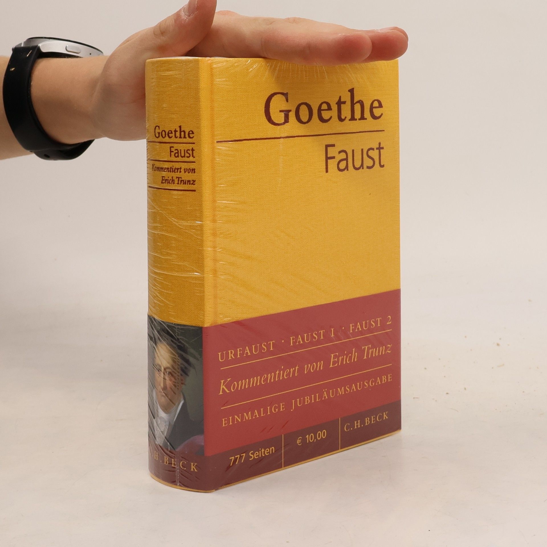 Johann Wolfgang von Goethe Faust