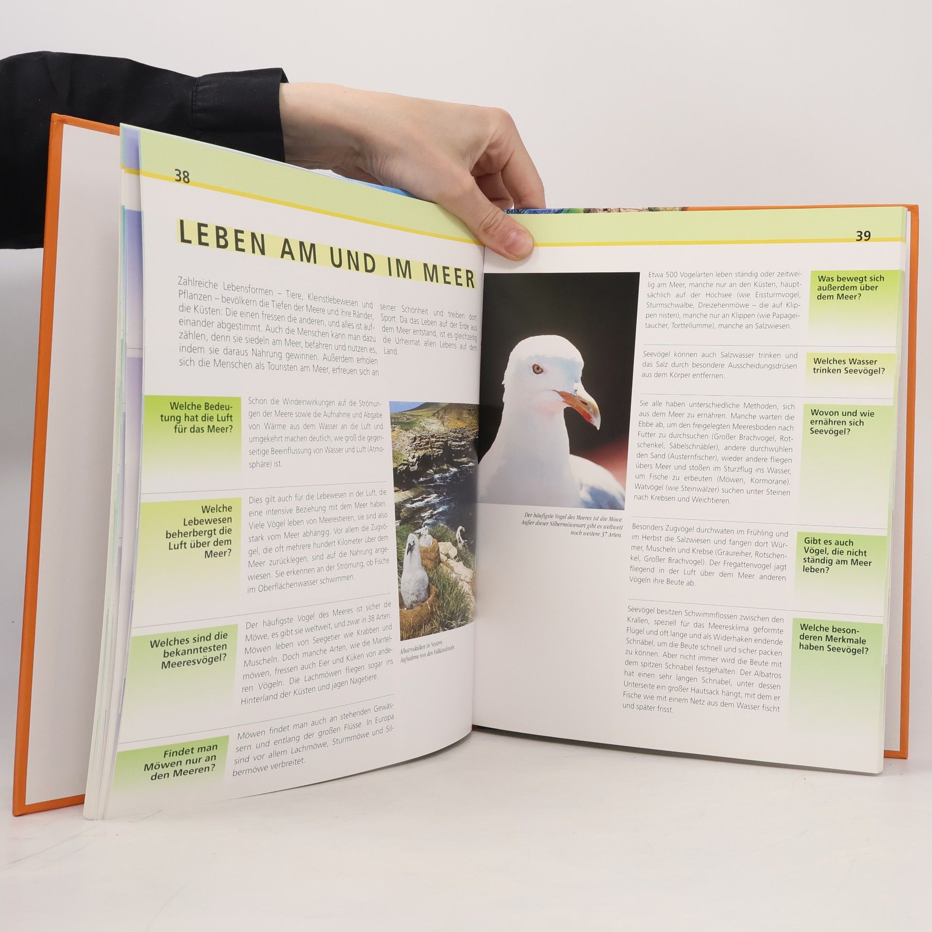 Autorenkollektiv Wissen für Kinder - Das Meer