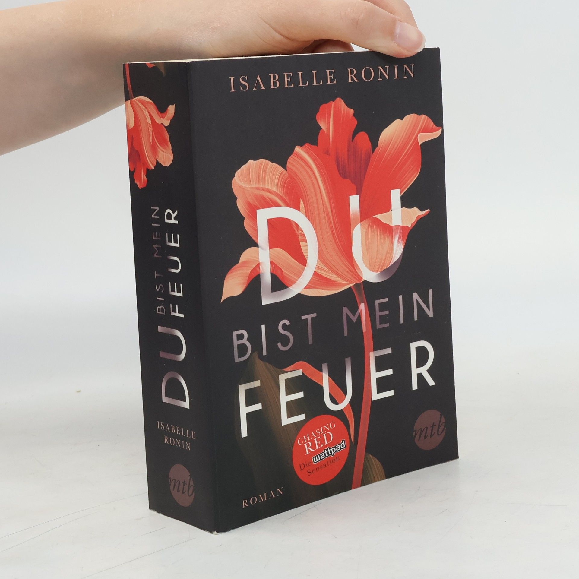 Isabelle Ronin Du bist mein Feuer
