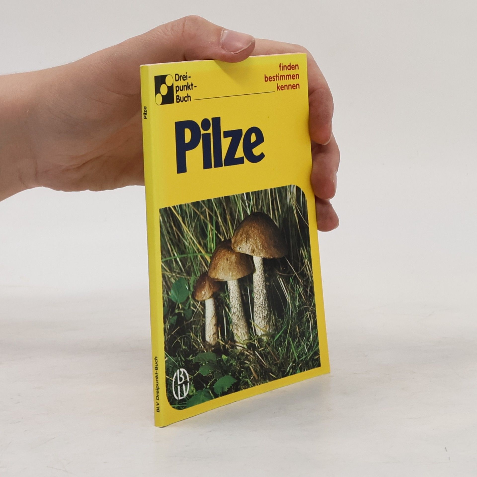 Alfred Handel Pilze