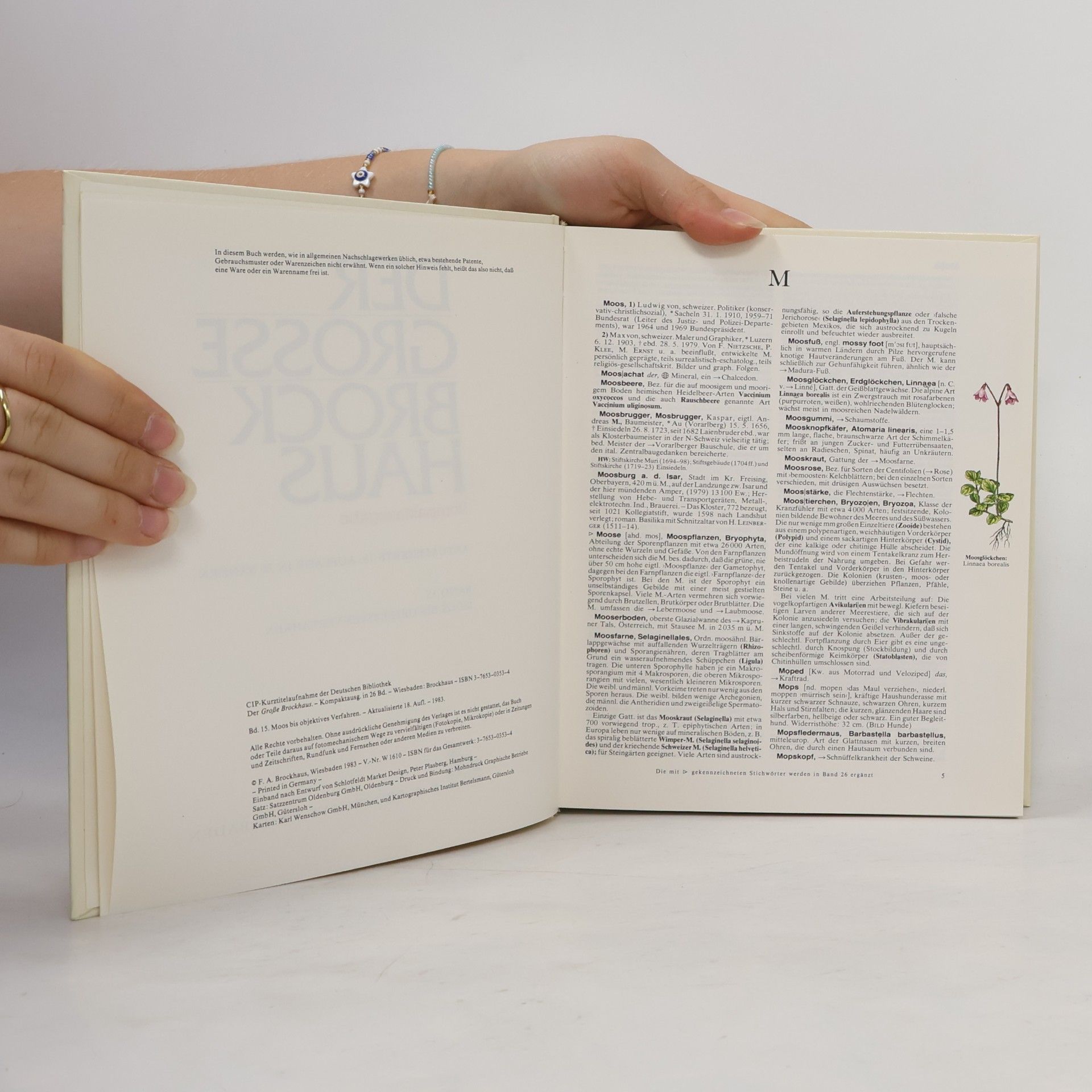 Various authors Der grosse Brockhaus 15
