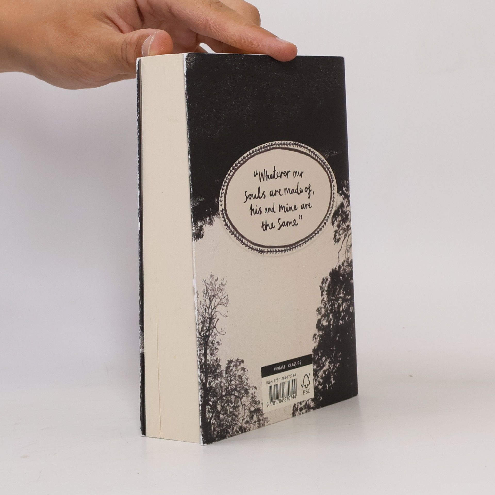 Emily Brontë Wuthering Heights