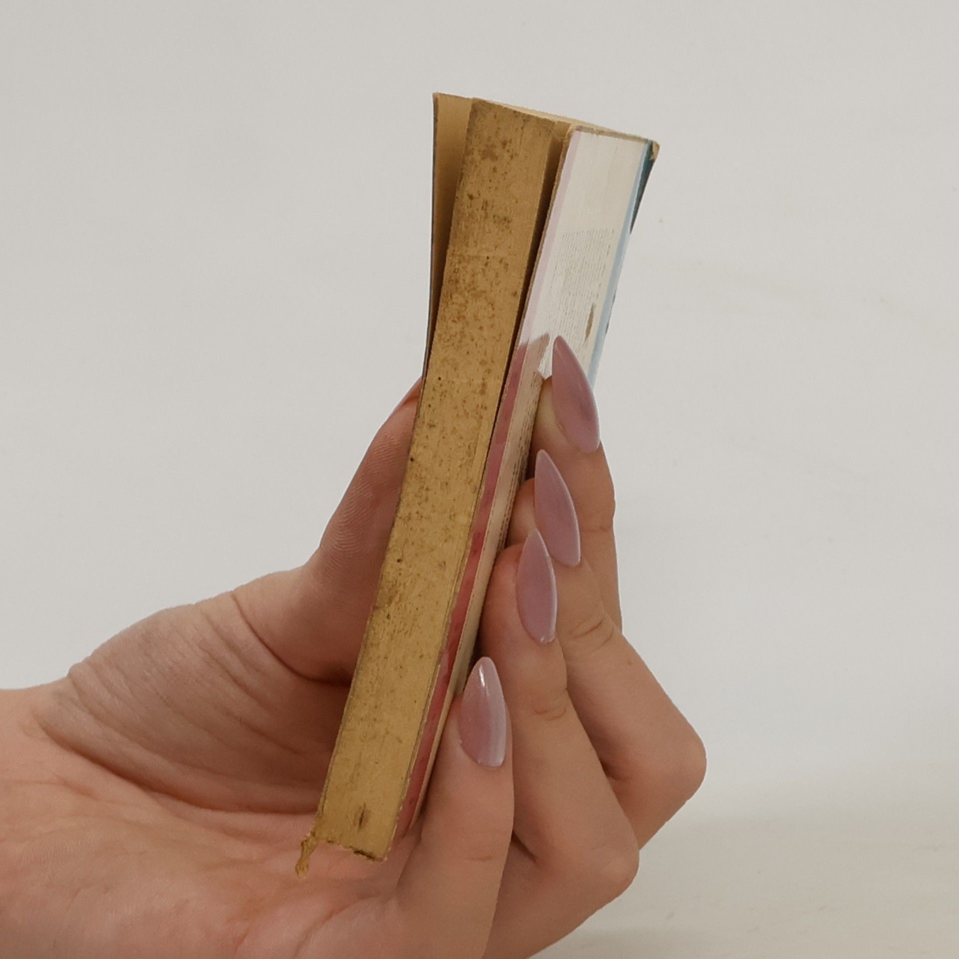 Petrarch Dichtungen, Briefe, Schriften