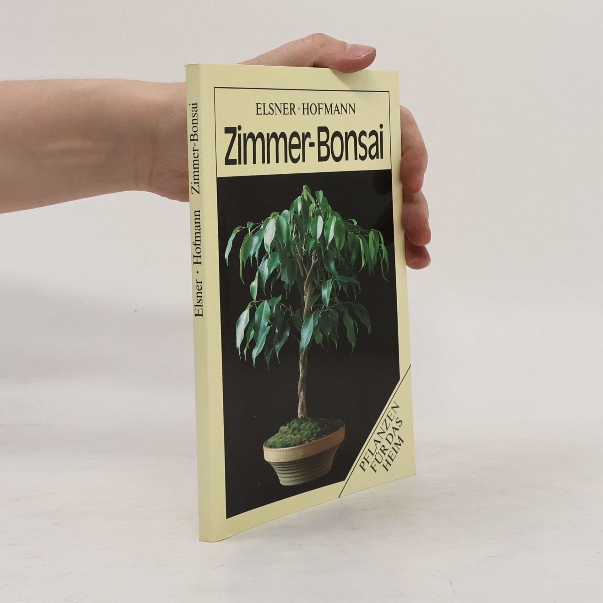 Gerhard Hofmann Zimmer-Bonsai