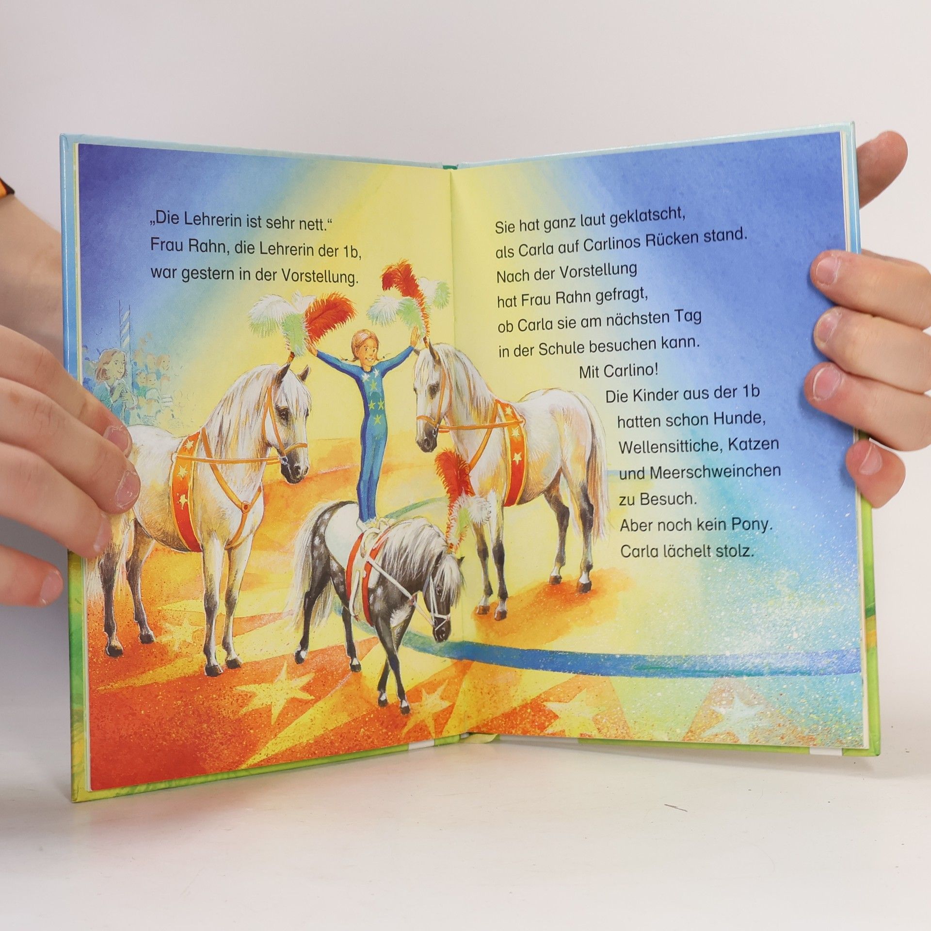 Barbara Zoschke Ponygeschichten