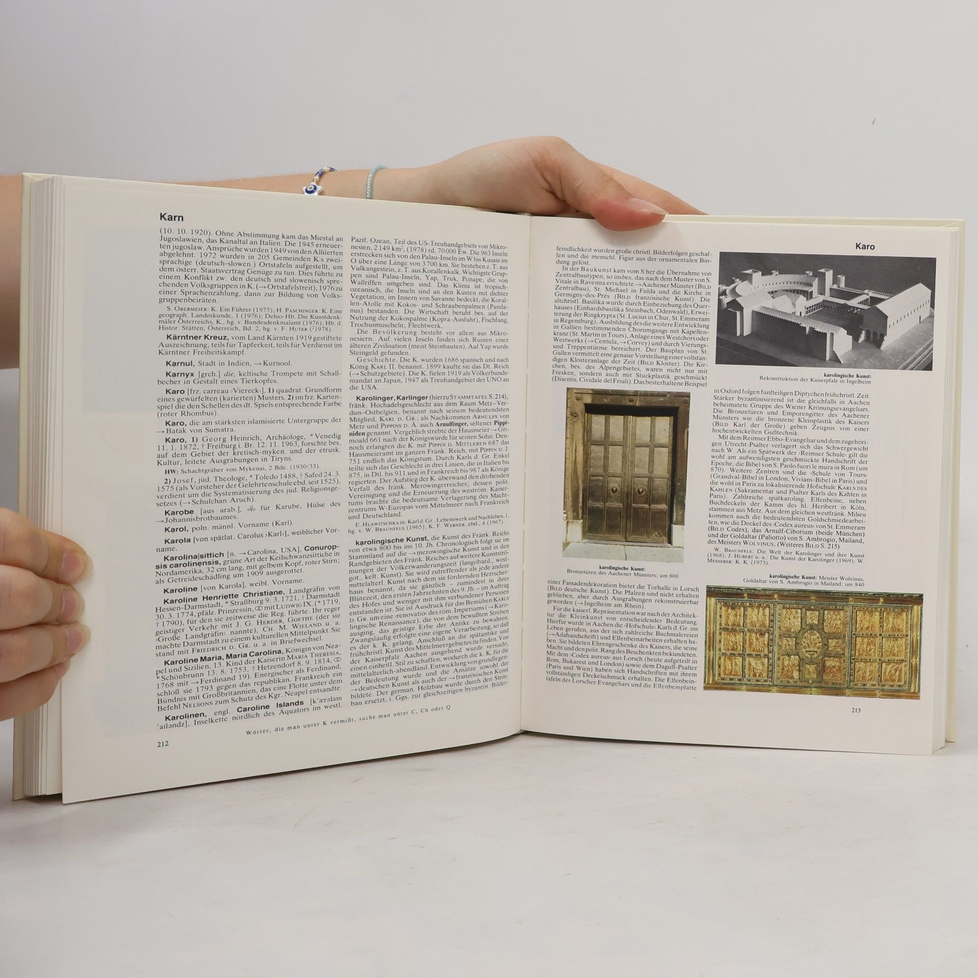 F. A. Brockhaus Der grosse Brockhaus kompaktausgabe 11