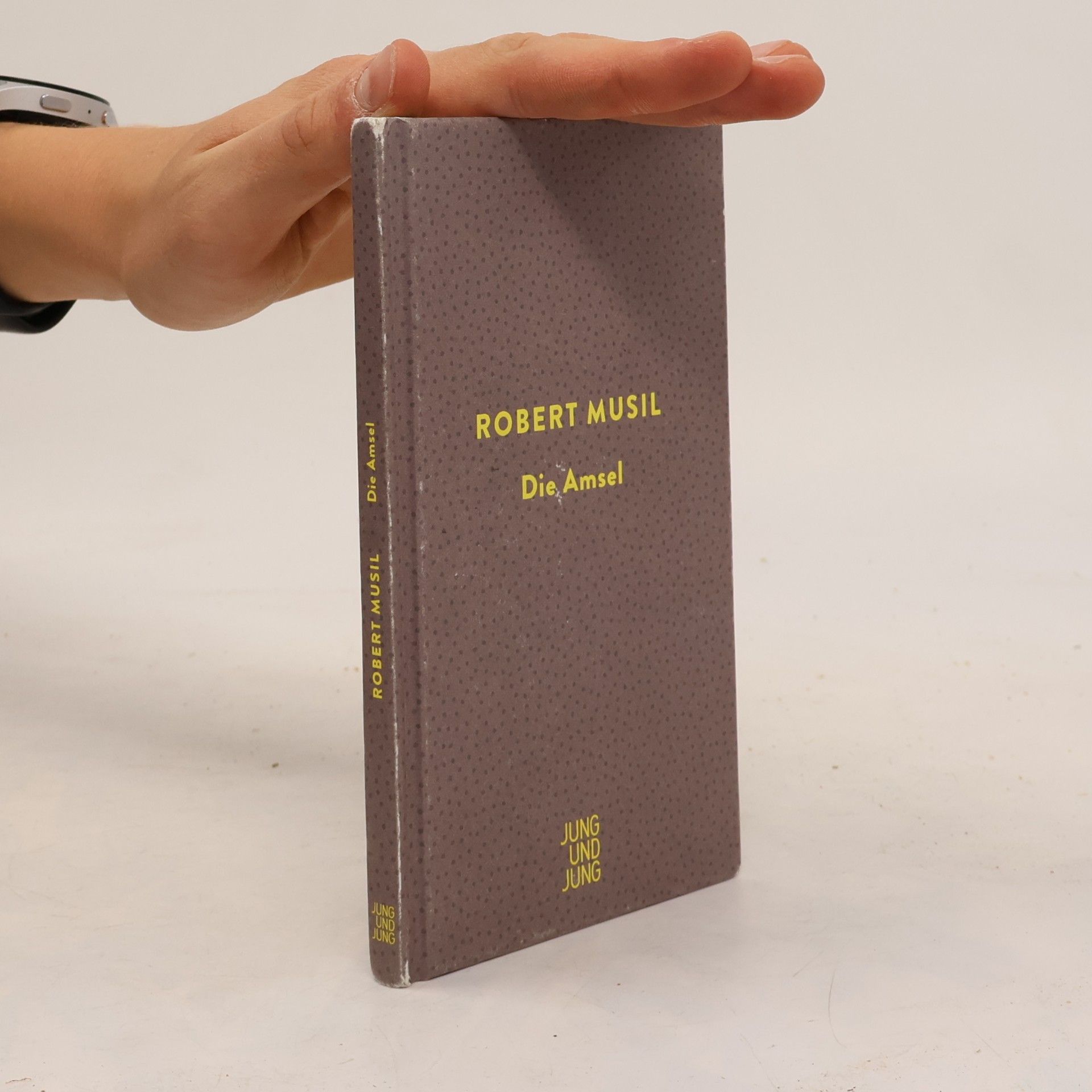 Robert Musil Die Amsel