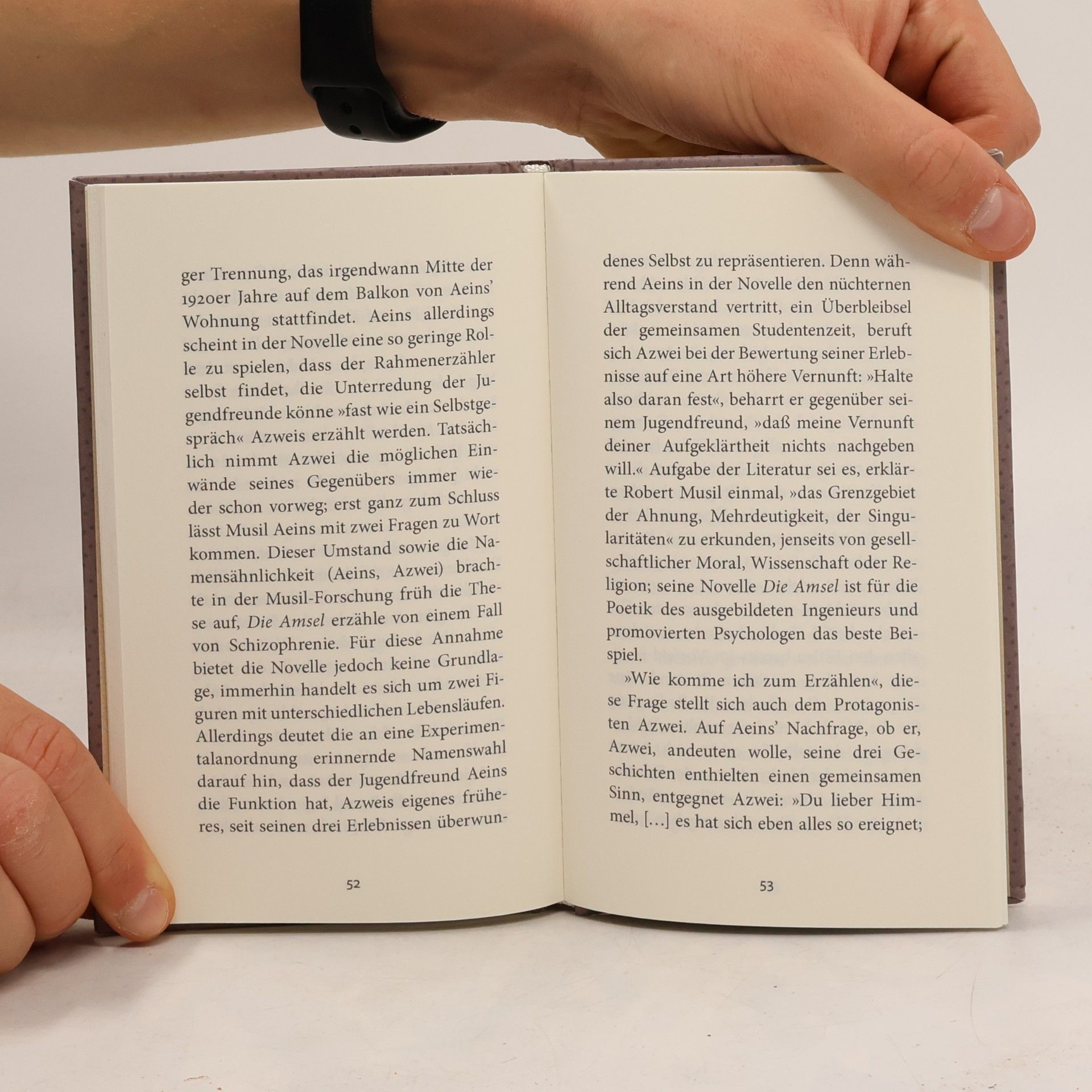 Robert Musil Die Amsel