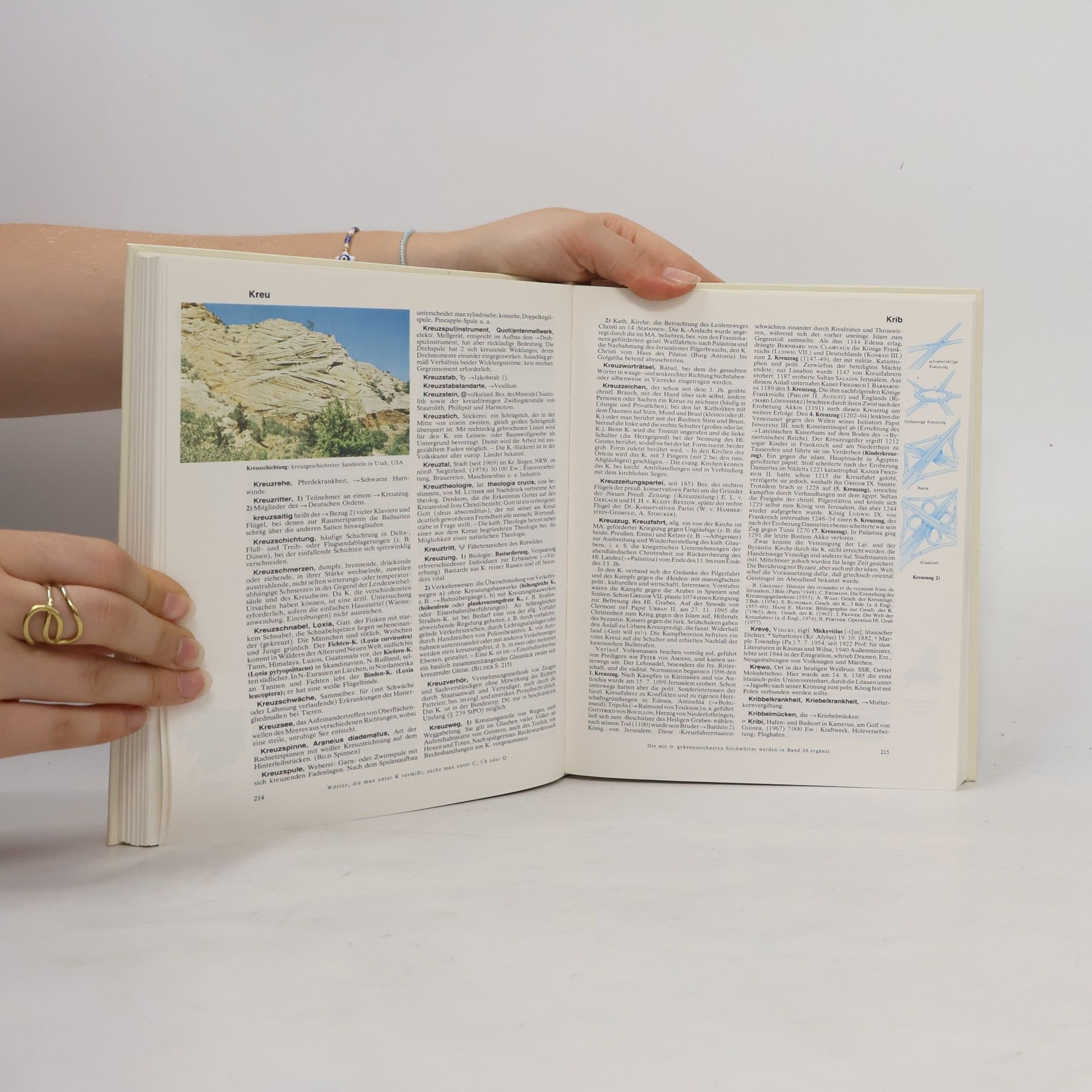 Collectif d'auteurs Der Grosse Brockhaus 12