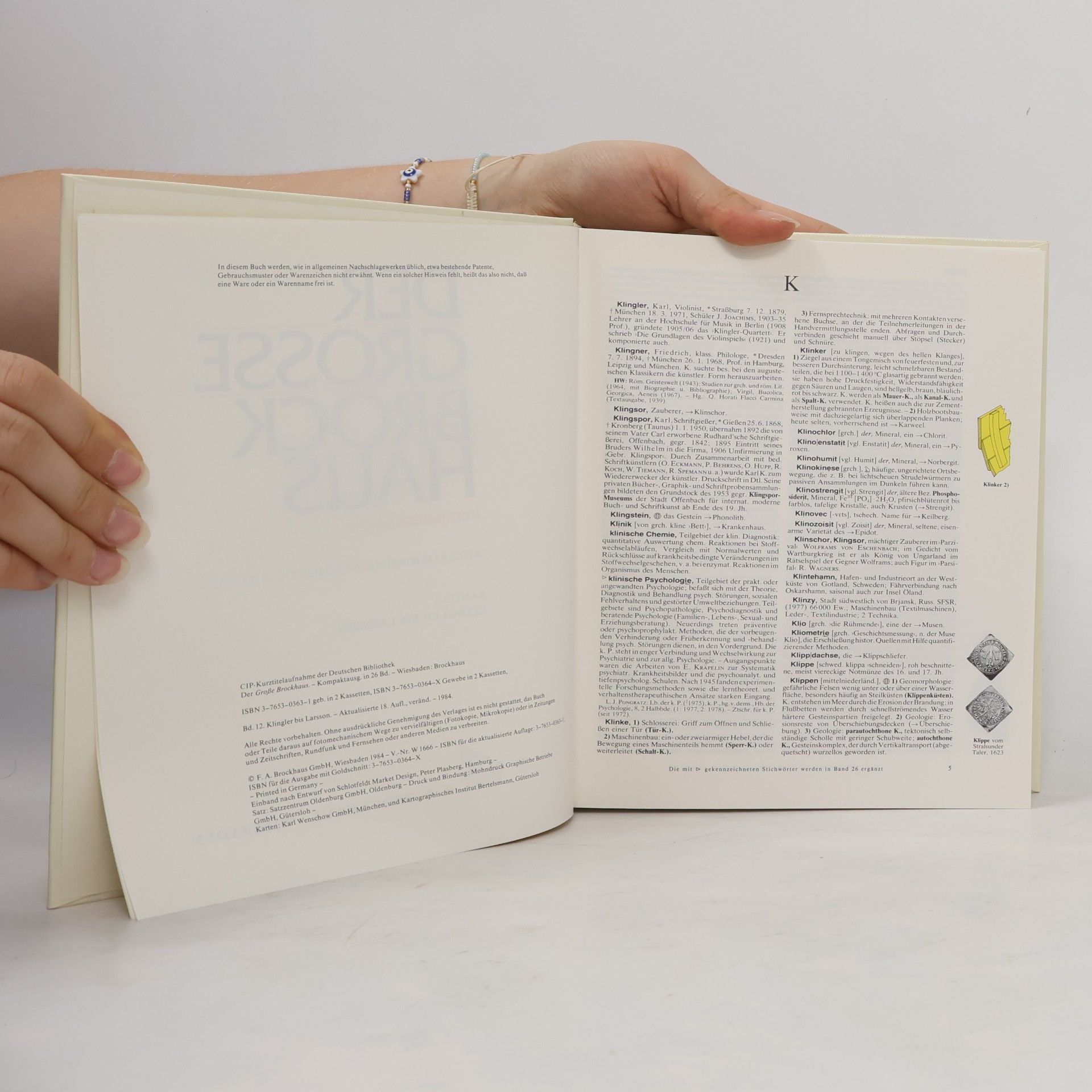 Collectif d'auteurs Der Grosse Brockhaus 12
