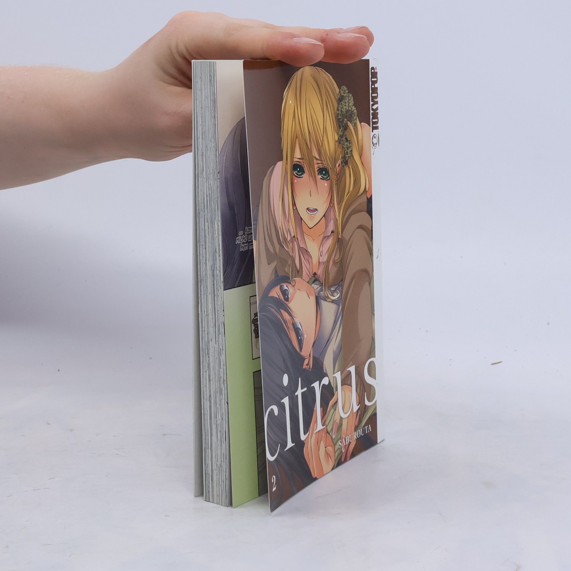 Saburouta Citrus 2