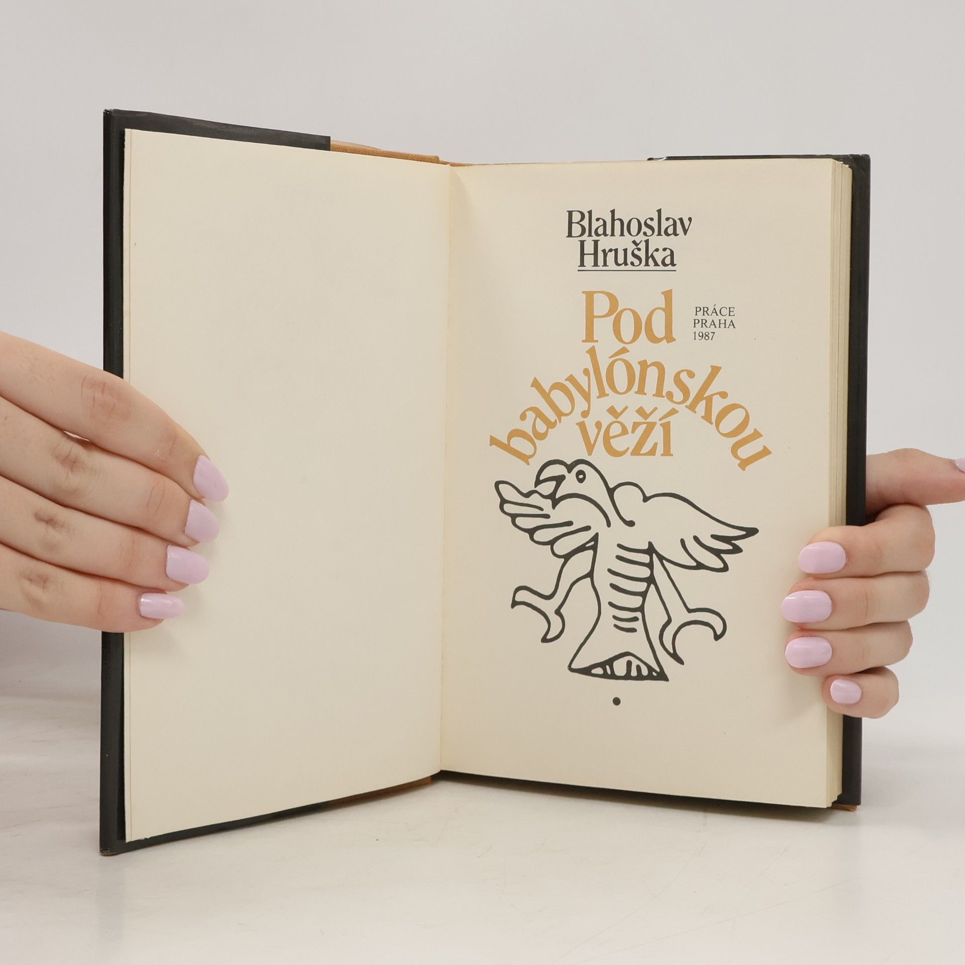 Blahoslav Hruška Pod babylónskou věží