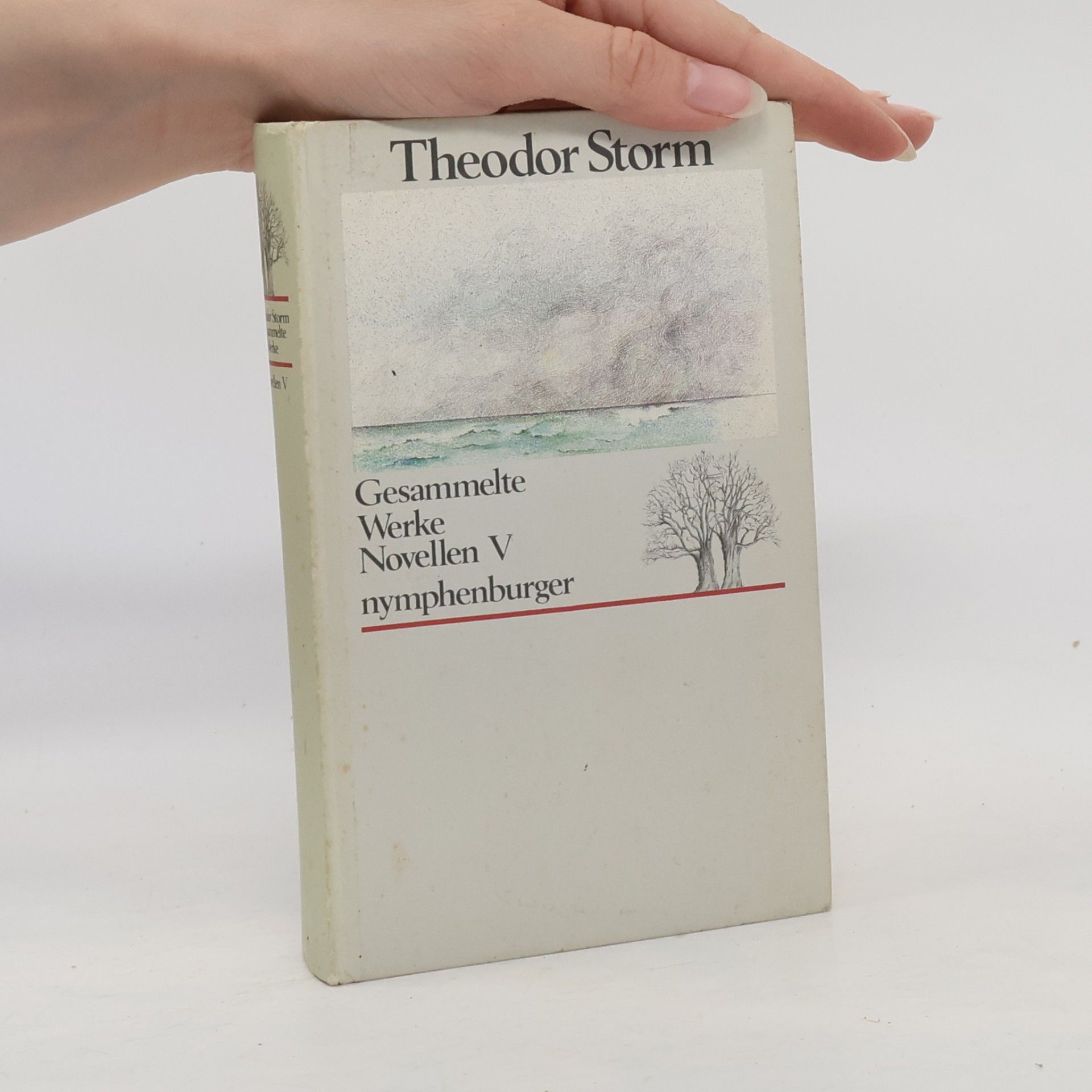 Theodor Storm Gesammelte Werke. Novellen V