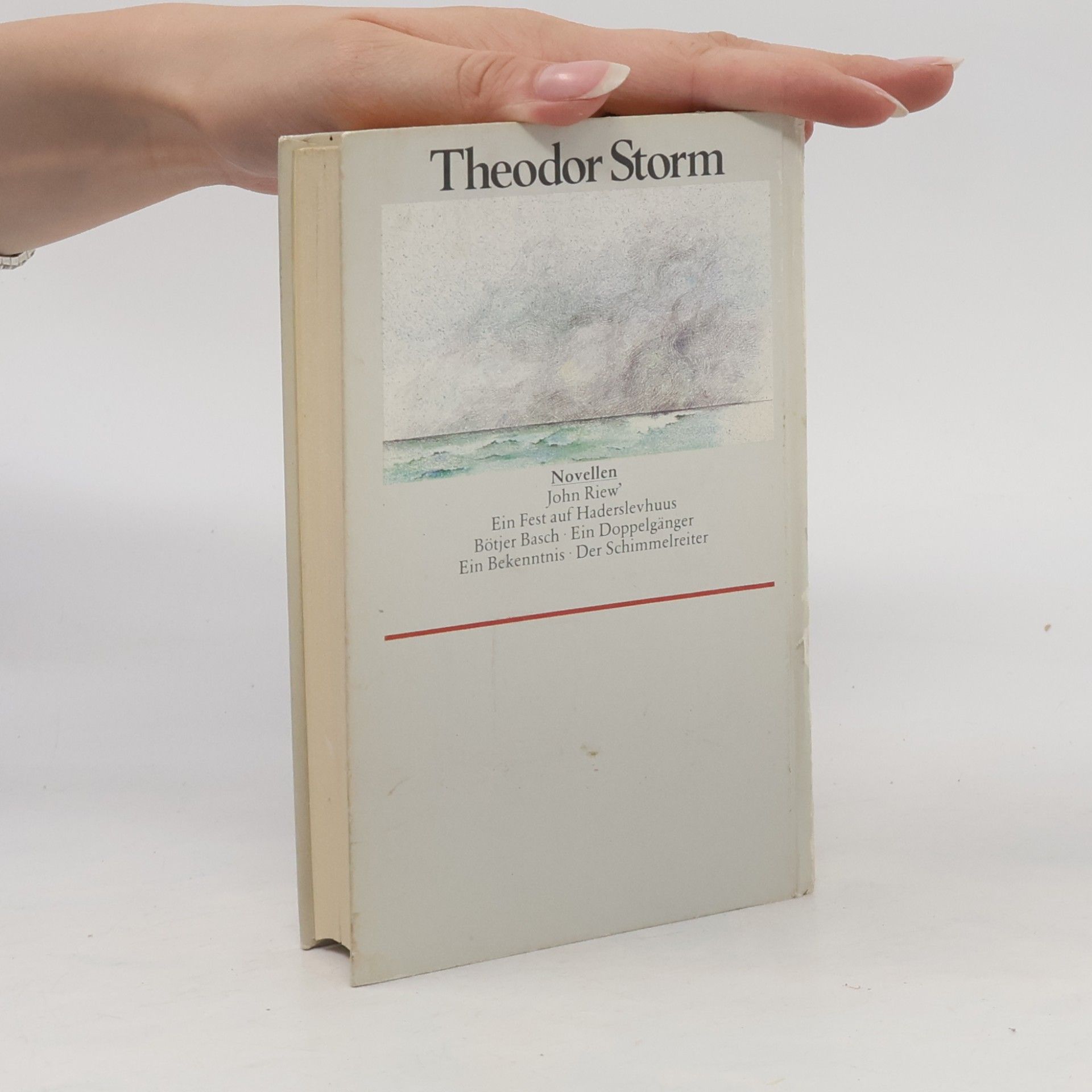 Hans Theodor Woldsen Storm Gesammelte Werke. Novellen V
