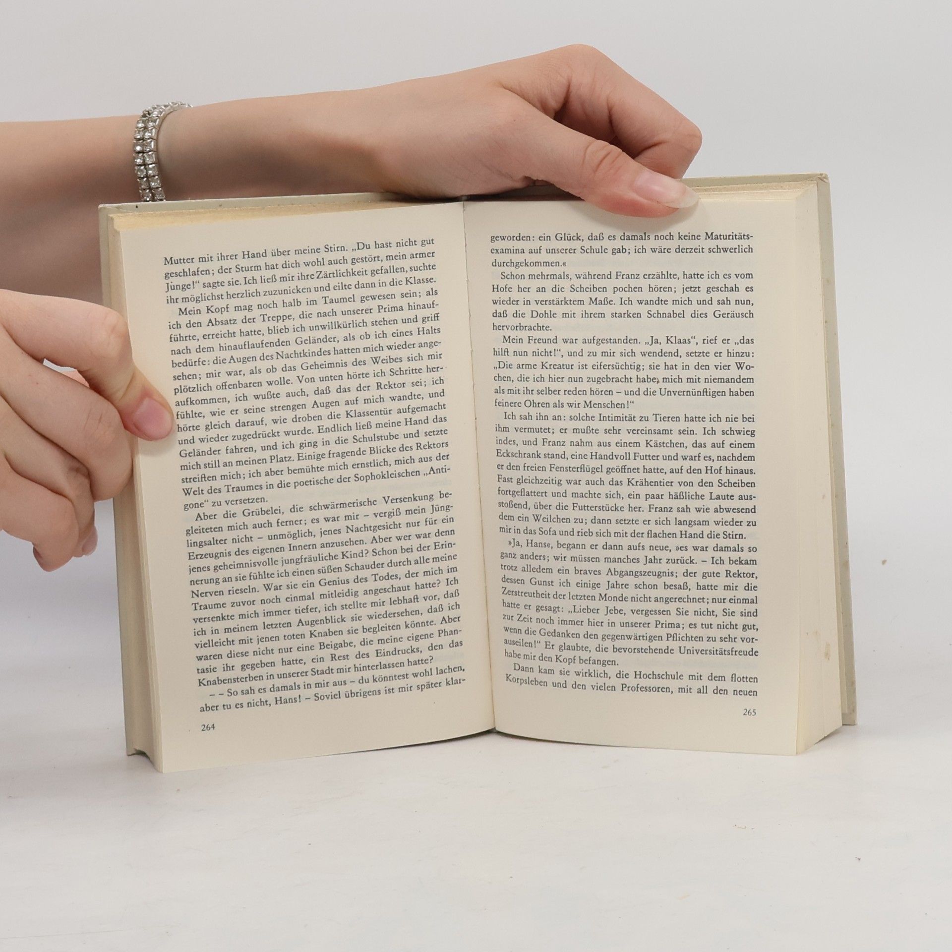 Hans Theodor Woldsen Storm Gesammelte Werke. Novellen V