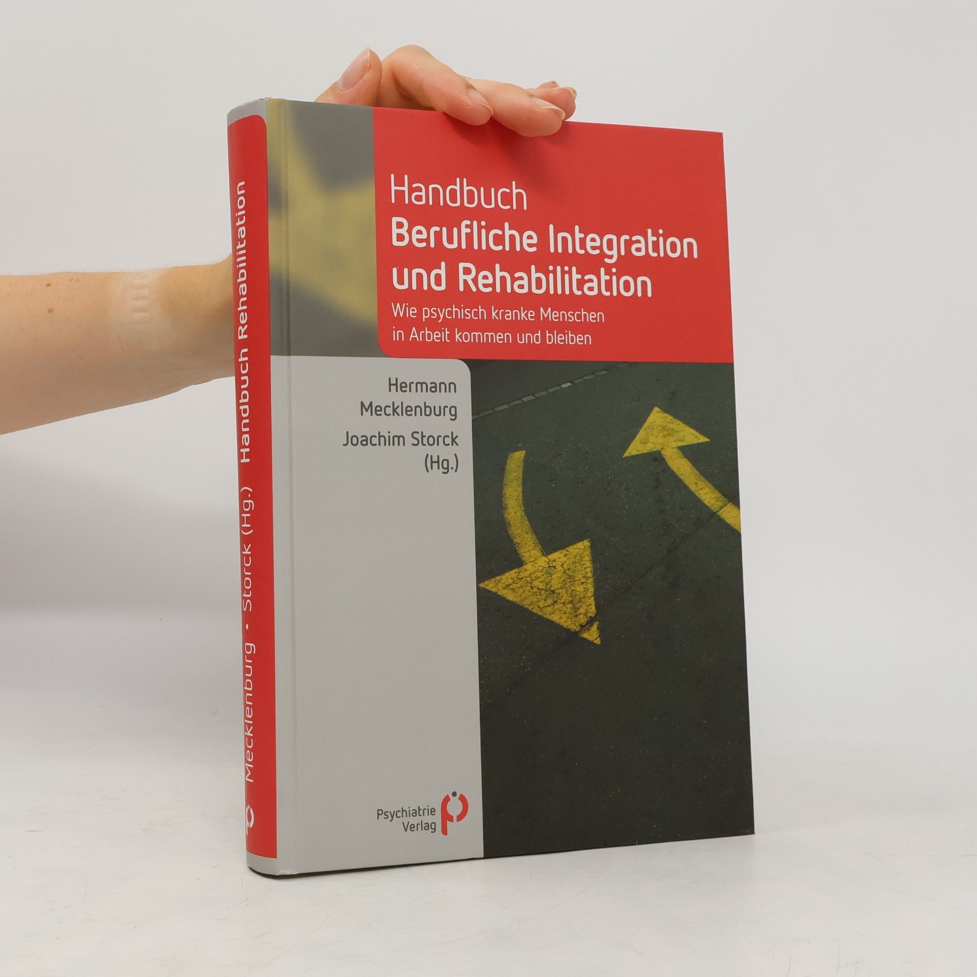 Hermann Mecklenburg Handbuch berufliche Integration und Rehabilitation