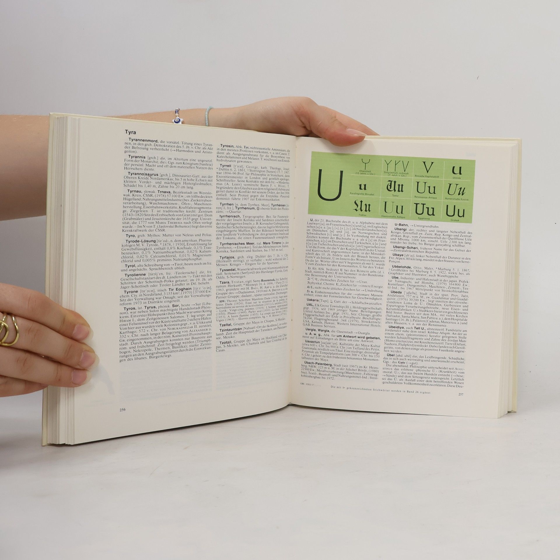 Autorenkollektiv Der Grosse Brockhaus 22