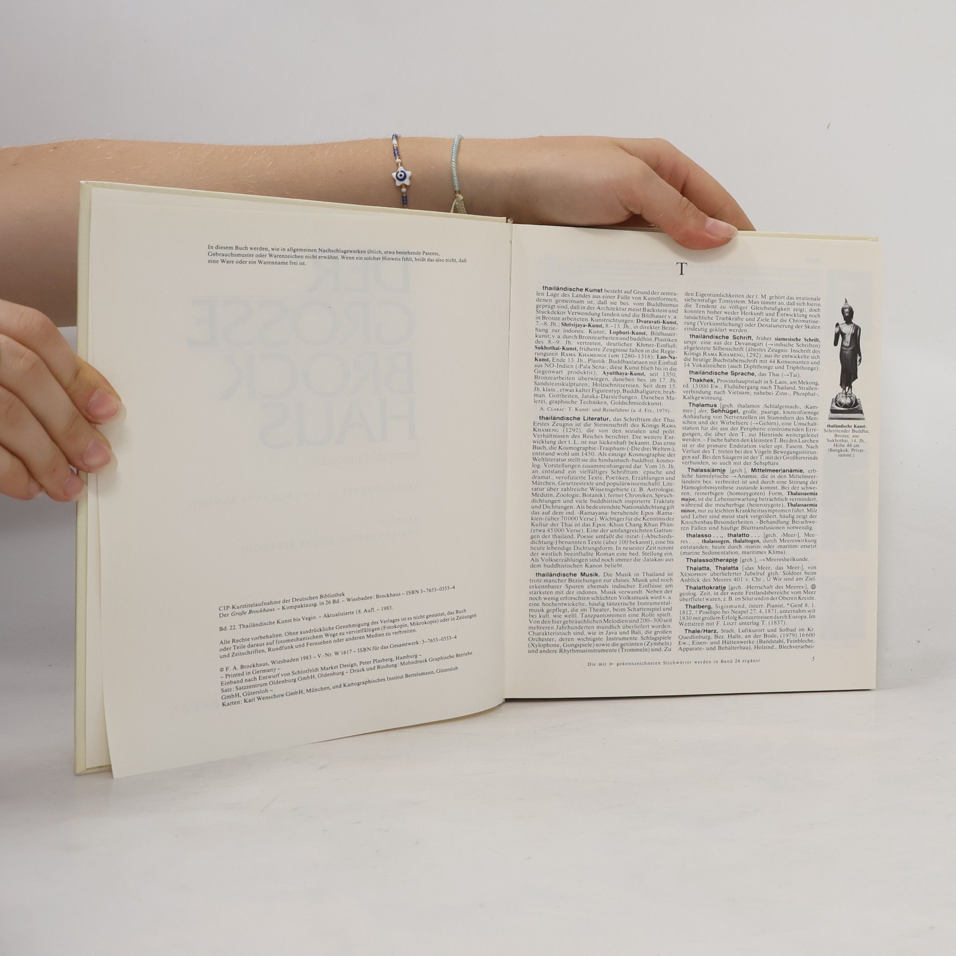 Autorenkollektiv Der Grosse Brockhaus 22