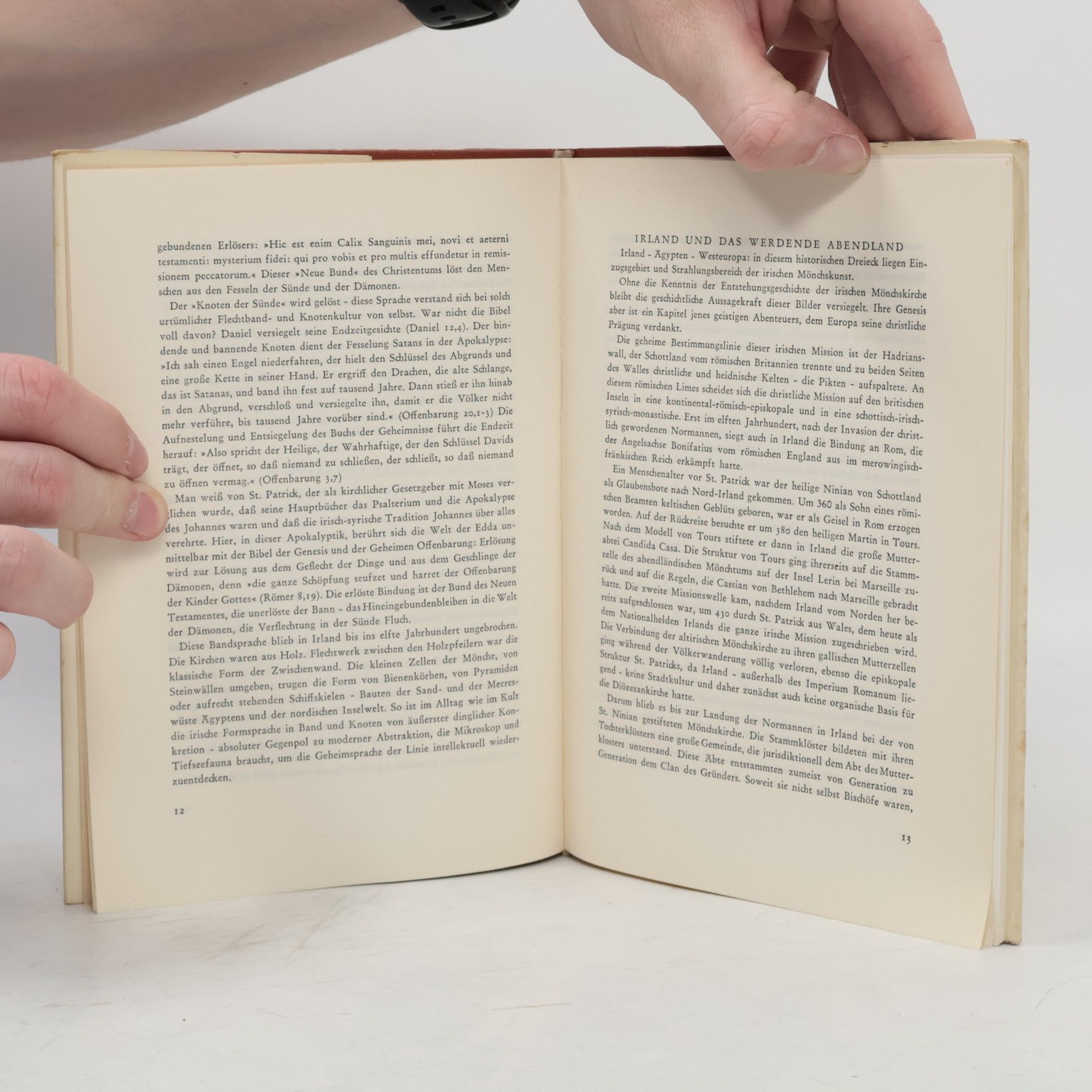 Autorenkollektiv Irische Miniaturen