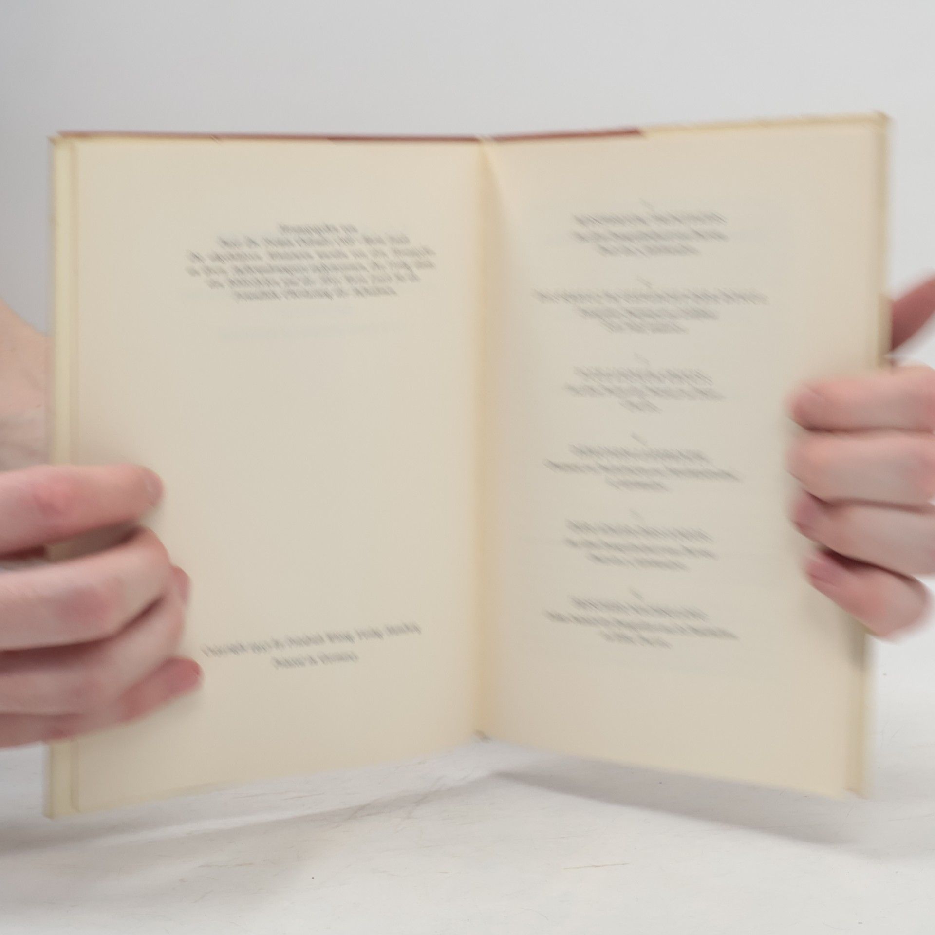 Autorenkollektiv Irische Miniaturen
