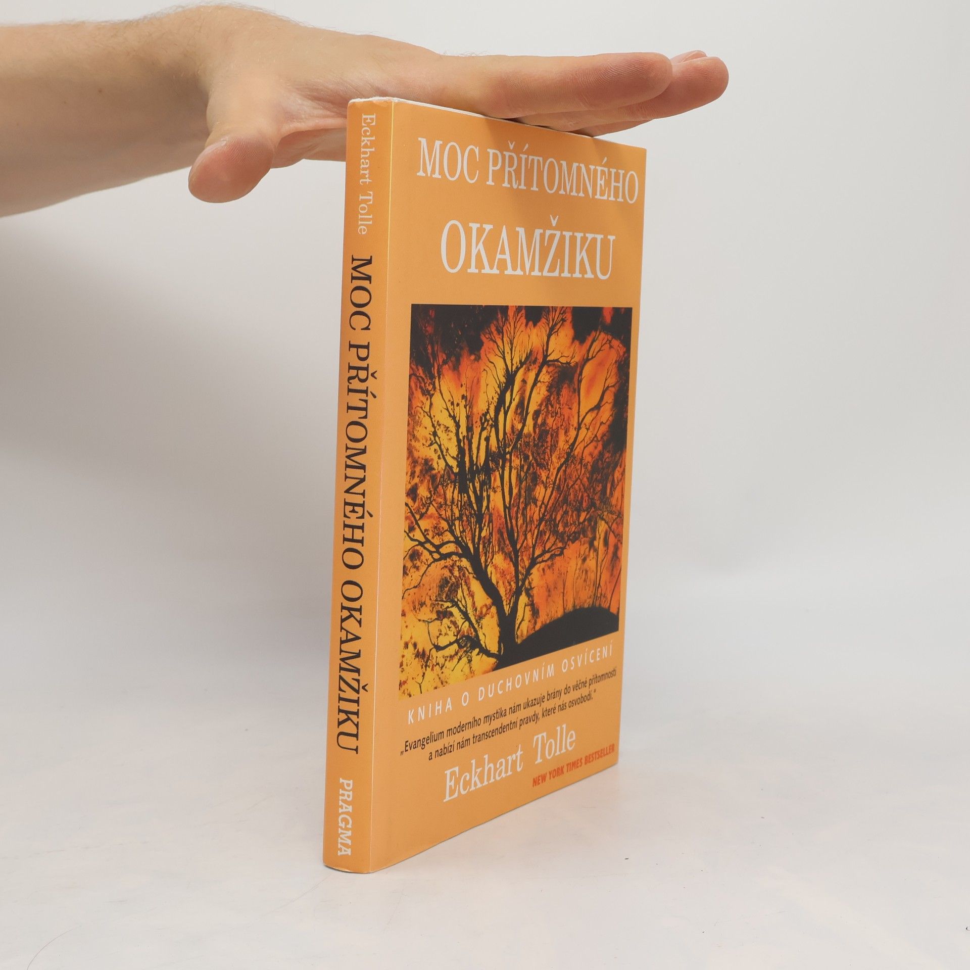 Eckhart Tolle Moc přítomného okamžiku