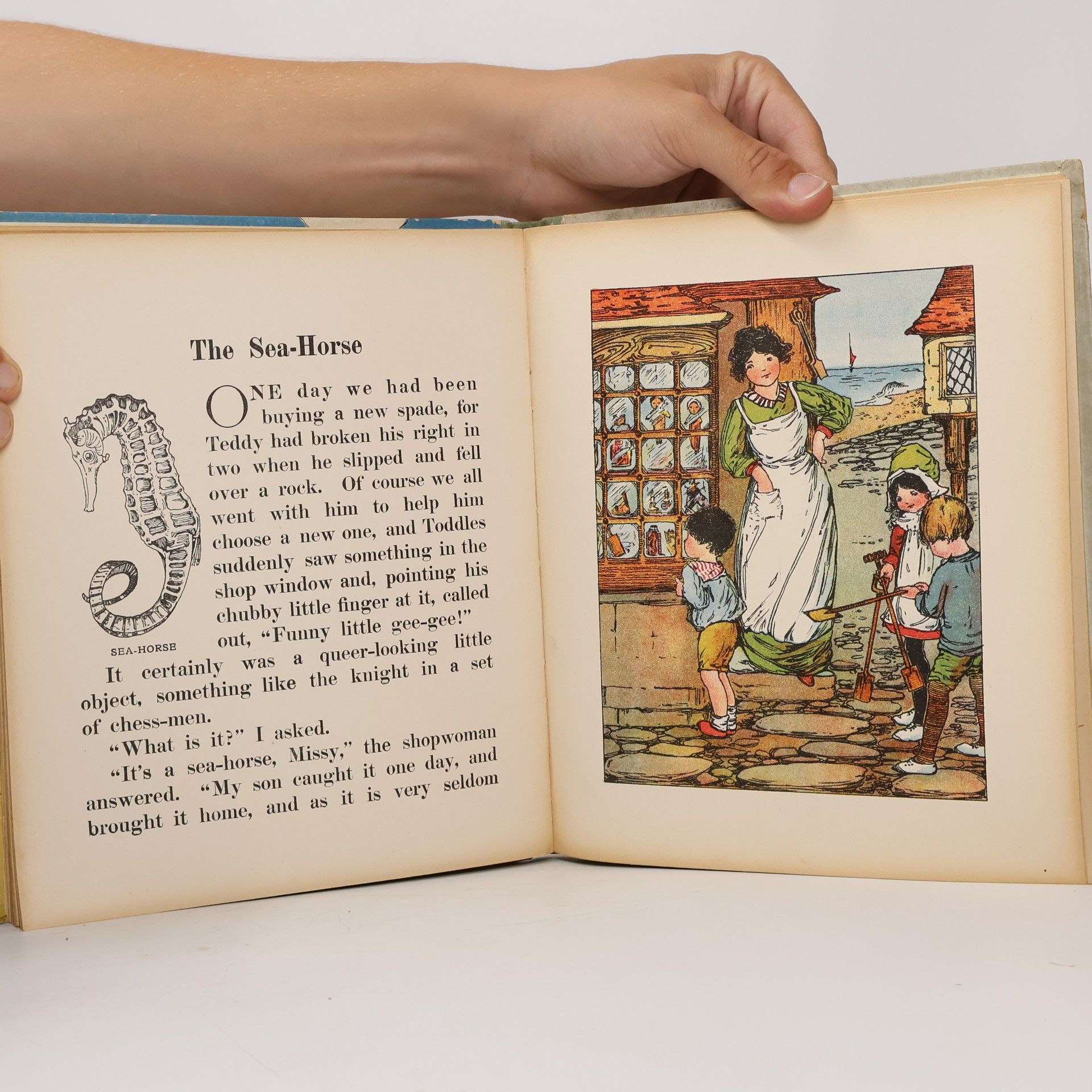 Reverend Theodore Wood What We Found at the Seaside