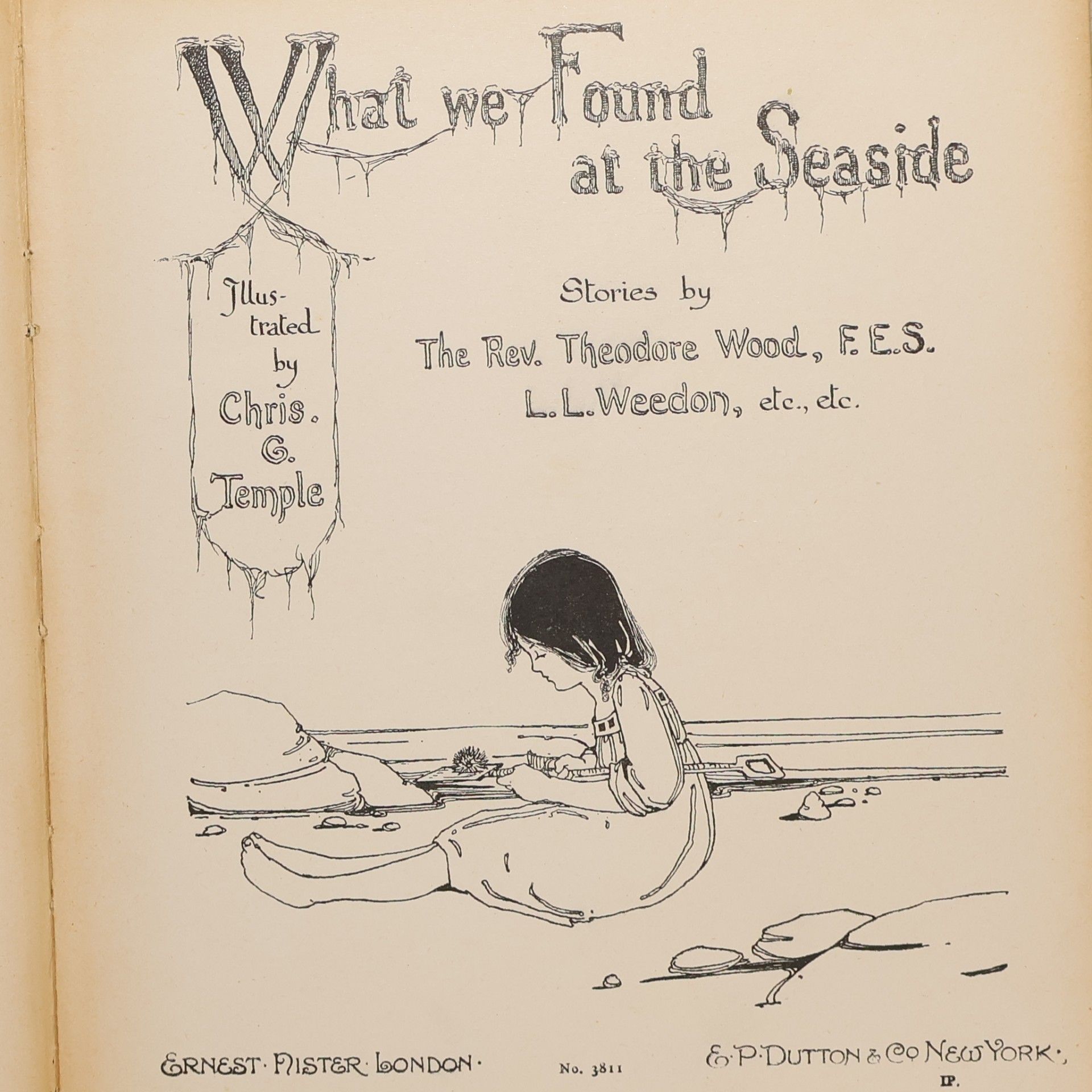 Reverend Theodore Wood What We Found at the Seaside