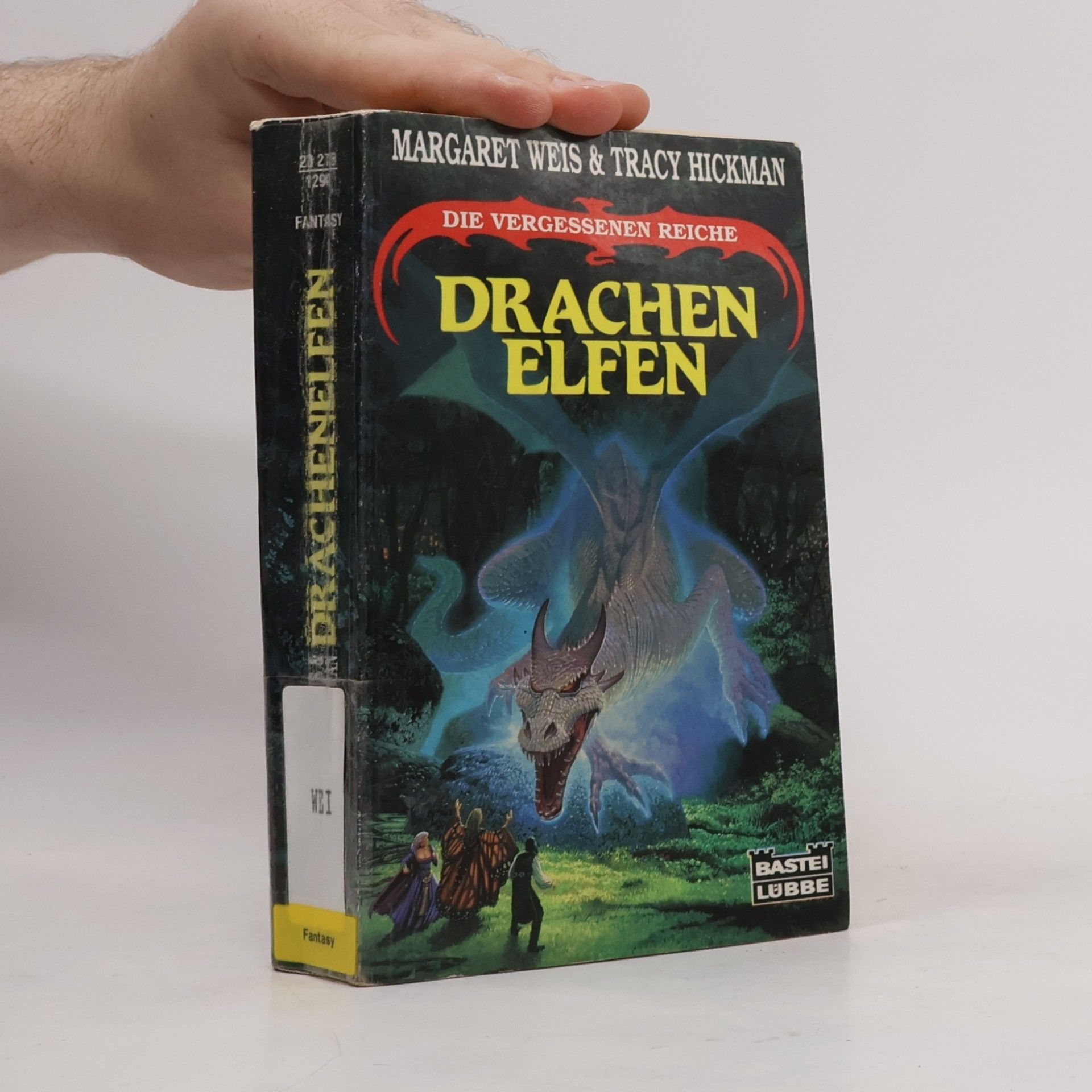 Tracy Hickman Die vergessenen Reiche: Drachenelfen